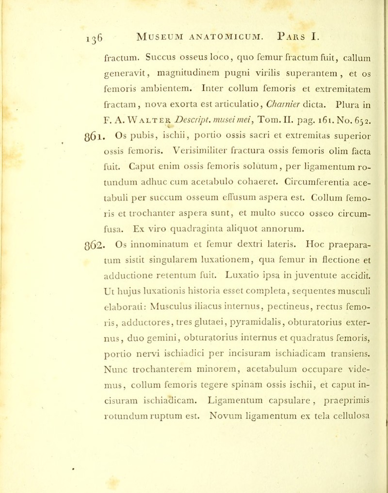 fractum. Succus osseusloco, quo femur fractum fuit, callum generavit, magriitudiiiem pugni virilis superantem , et os femoris ambientem. Inter collum femoris et extremitatem fractam, nova exorta est articulatio, Charmer dicta. Plura in F. A. Walter Descript. museimei, Tom. II. pag. i6i. No. 652. . Os pubis, ischii, portio ossis sacri et extremitas superior ossis femoris. Verisimiliter fractura ossis femoris olim facta fuit. Caput enim ossis femoris solutum, per ligamentum ro- tundiuii adhuc cum acetal)ulo cohaeret. Circumferentia ace- tabuli per succum osseum elTusum aspera est. Collum femo- ris et trochanter aspera sunt, et multo succo osseo circum- fusa. Ex viro quadraginta aliquot annorum. . Os innominatum et femur dextri lateris. Hoc praepara- tum sistit singularem luxationera, qua femur in flectione et adductione retentum fuit. Luxado ipsa in juventute accidit. Ut hujus luxationis historia esset completa, sequentes musculi elaborau: Musculus iliacus internus, pectineus, rectus femo- ris, adductores, tres glutaei, pyramidalis, obturatorius exter- nus, duo gemini, obturatorius internus et cjuadratus femoris, portio nervi ischiadici per incisuram ischiadicam transiens. Nunc trochanterem minorem, acetabulum occupare vide- mus, collum femoris tegere spinam ossis ischii, et caput in- cisuram ischiadicam. Ligamentum capsulare, praeprimis rotundum ruptum est. Novum ligamentum ex tela cellulosa