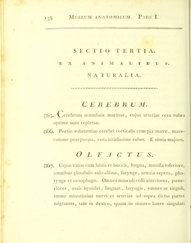 SECTIO TERTIA. EX A N I M A 1^ I B U S. NATURALIA. Cerebrum, 065. Cjerebriim testuclinis marinae, cujus arteriae cera rubra optime sunt repletae. []66. Portio substantiae cerebri corticalis cum pia matre, mace- ratione praeparata. cera nitidissime rubet. E simia majore. O L F A C T U S. 867. Ca])ut canis cum labiis et buccis, lingua, maxilla inferiore, omnibus glandulis salivalibus, larynge, arteria aspera, pha- rynge et oesophago. Omnes musculi colli anteriores, poste- riores , ossis hyoidei, linguae , laryngis , omnes ac singuli, immo minutissimi nervi et arteriae ad supra dictas partes migrantes, tam in dextro, c[uam in sinistro latere singulari
