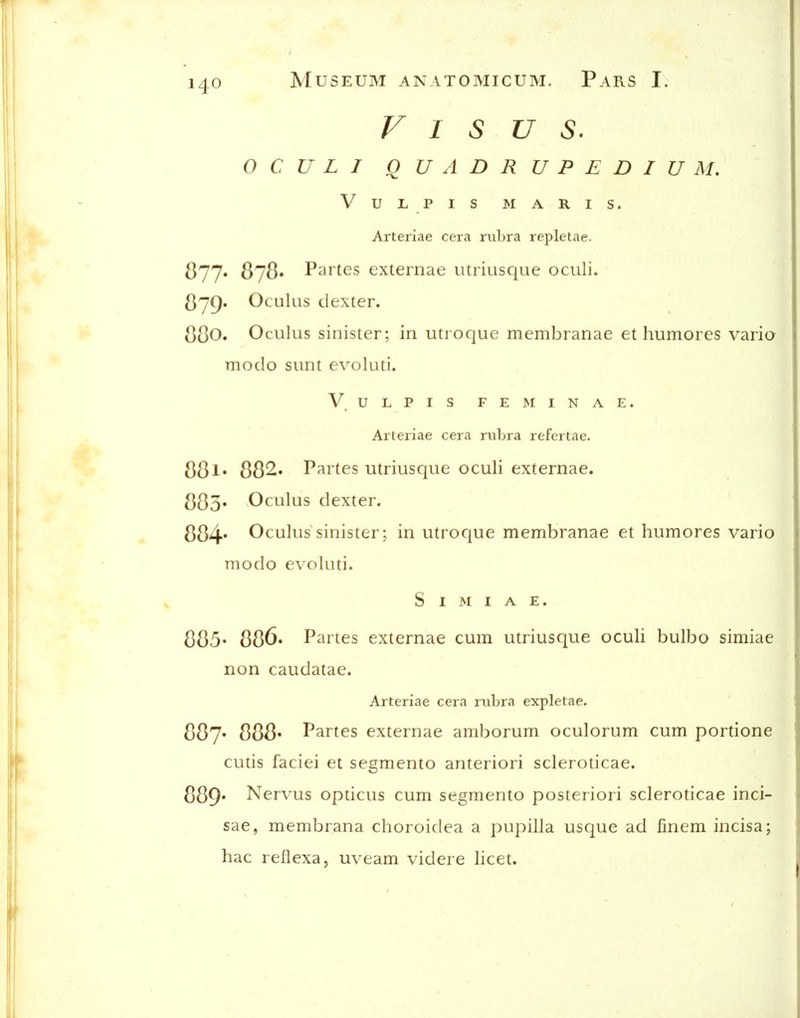 F I s u s. O C U L J QUADRUPEDIUM, VUL PIS MARIS. Arteriae cera rubra repletae. 877* 878* Partes externae iitriusque oculi. ^^yC). Oculus dexter. 880. Oculus sinister; in utroque membranae et humores varia modo sunt evoluti. V ULPIS feminae. Arteriae cera rubra refertae. 88l' 882. Partes utriusque oculi externae. (]35» Oculus dexter. 884' Oculus sinister; in utroque membranae et humores vario modo evoluti. S I M I a E. 885* 886. Partes externae cum utriusc|ue oculi bulbo simiae non caudatae. Arteriae cera rubra expletae. 887* 888' Partes externae amborum oculorum cum portione cutis faciei et segmento anteriori scleroticae. 889* Nervus opticus cum segmento posteriori scleroticae inci- sae, membrana choroidea a pupilla usr|ue ad finem incisa; hac reflexa, uveam videre licet.
