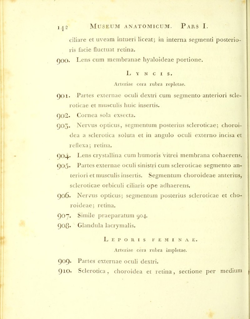 ciliare et uveam intueri liceatj in interna segmenti posterio- ris facie fluctuat retina. goo. Lens cum membranae hyaloideae portione. L Y N c 1 s. Arteriae cera rubra repletae. f)Oi. Partes externae oculi dextri cum segmento anteriori scle- roticae et musculis luiic insertis. 902. Cornea sola exsecta. 905. Nervus opticus, segmentum posterius scleroticae; choroi- dea a sclerotica soluta et in angulo oculi externo incisa et reflexa; retina. 904* Lens crystallina cum humoris Vitrei membrana cohaerens. 905* Partes externae oculi sinistri cum scleroticae segmento an- teriori et musculis insertis. Segmentum choroideae anterius, scleroticae orbiciili ciiiaiis ope adhaerens. 906. Nervous opticus; segmentum posterius scleroticae et cho- roideae; retina. 907. Simile praejDaratum yo4. 90C' Glandula lacrymalis. Leporis feminae. Arteriae cera rii1)ra impletae. 909. Partes externae oculi dextri. 910. Sclerotica, choroidea et retina, sectione per medium