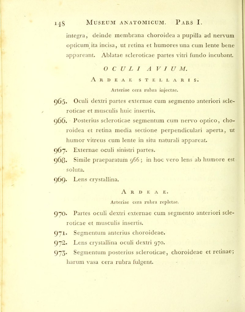 Integra, deinde membiana choroidea a pupilla ad nervum opticum^ita incisa, ut retina et humores una cum lente bene appareant. Ablatae scleroticae partes vitri fundo incubant. OCULI AVIUM. ArDEAE STELLAR! S. Aiteriae ccra rulna injectae. 965* Oculi dextri partes externae cum segmento anterlori scle- roticae et musculis huic insertis. 966. Posterius scleroticae segmentum cum nervo optico, cho- roidea et retina media sectione perpendicular! aperta, ut humor vitreus cum lente in situ naturali appareat. 967. Externae oculi sinistri partes. 968* Simile praeparatum 966 ; in hoc vero lens ab humore est soluta. 969* Lens crystallina. A R D E A E. Arteriae cera rubra repletae. 90. Partes oculi dextri externae cum segmento anteriori scle- roticae et musculis insertis. 971* Segmentum anterius choroideae. 972. Lens crystallina oculi dextri 970. 973. Segmentum posterius scleroticae, choroideae et retinae; harum vasa cera rubra fulgent.