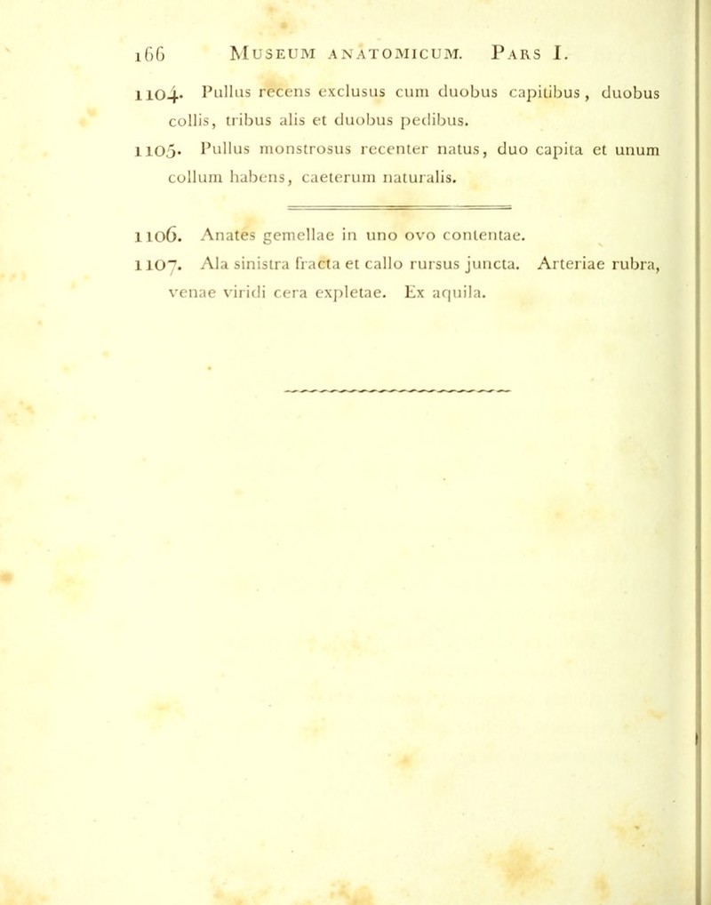 1104* PliIIus rccens exclusLis cum duobus capiiibus, duobus collis, tril^iis alis et duobus [)e(libus. 1105' Pullus monstrosus recenter natus, duo capita et unum collum liabens, caeterum nainialis. 1106. Anates gemellae in iu\o ovo coiUeutae. 1107. Ala sinistra fracta et callo rursus juncta. Arteriae rubra, venae viridi cera expletae. Ex acjuila.