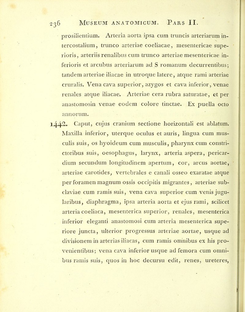 prosilientium. Arteria aorta ipsa cum truncis arteriarum in- tercostalium, trunco arteriae coeliacae, mesentericae supe- rioris, arteriis renalibus cum trunco arteriae mesentericae in- ferioris et arcubus arteriarum ad S romanum decurrentibus; tandem arteriae iliacae in utroque latere, atque rami arteriae cruralis. Vena cava superior, azygos et cava inferior, venae renales atque iliacae. Arteriae cera rubra saturatae, et per anastomosin venae eodem colore tinctae. Ex puella octo annorum. - l442» Caput, cujus cranium sectione horizontali est ablatum. Maxilla inferior, uterque oculus et auris, lingua cum mus- culis suis, OS hyoideum cum musculis, pharynx cum constri- ctoribus suis, oesophagus, larynx, arteria aspera, pericar- dium secundum longitudinem apertum, cor, arcus aortae, arteriae carotides, vertebrales e canali osseo exaratae atque per foramen magnum ossis occipitis migrantes, arteriae sub- claviae cum ramis suis, vena cava superior cum venis jugu- laribus, diaphragma, ipsa arteria aorta et ejus rami, scilicet arteria COeliaca, mesenterica superior, renales, mesenterica inferior eleganti anastomosi cum arteria mesenterica supe- riore juncta, ulterior progressus arteriae aortae, usque ad divisionem in arterias iliacas, cum ramis omnibus ex his pro- venientibus; vena cava inferior usque ad femora cum omni- bus ramis suis, quos in hoc decursu edit, renes, ureteres,