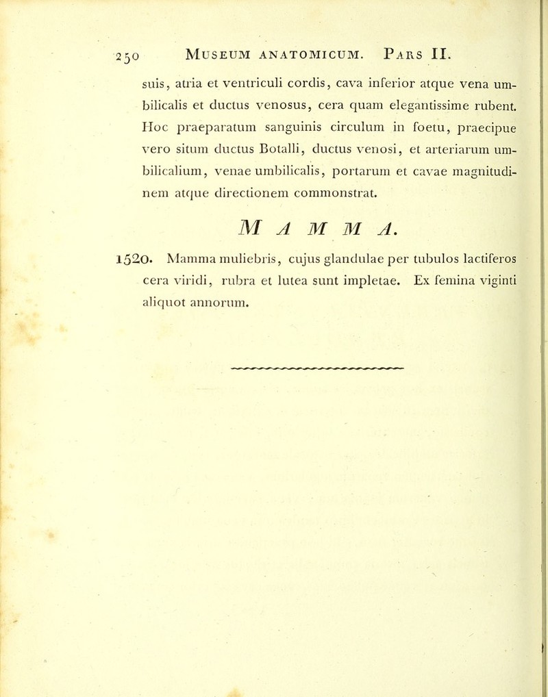 suis, atria et ventriculi cordis, cava inferior atque vena um- bilicalis et ductus venosus, cera quam elegantissime rubent. Hoc praeparatum sanguinis circulum in foetu, praecipue vero situm ductus Botalli, ductus venosi, et arteriarum um- bilicalium, venae umbilicalis, portarum et cavae magnitudi- nem atque directionem commonstrat. M A M M J. 1520. Mamma muliebris, cujus glandulae per tubulos lactiferos cera viridi, rubra et lutea sunt impletae. Ex femina viginti aliquot annorum.