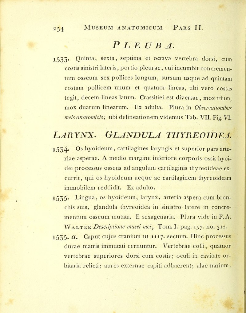 Pleura. 1535, Ouinta, sexta, septima et octava vertebra dorsi, cum costis sinistri lateris, portio pleurae, cui incumbit concremen- tum osseum sex pollices longum, sursum usque ad quintam costam pollicem unum et quatuor lineas, ubi vero costas tegit, decern lineas latum. Crassitiei est diversae, moxtrium, mox duarum linearum. Ex adulta. Plura in Observationibus meis anatomich; ubi delineationem videmus Tab. VII. Fig. VI. LARYNX. GLANDULA THYREOIDEA. l534* hyoideum, cartilagines laryngis et superior pars arte- riae asperae. A medio margine inferiore corporis ossis hyoi- dei processus osseus ad angulum cartilaginis thyreoideae ex- currit, qui os hyoideum aeque ac cartilaginem thyreoideam immobilem reddidit. Ex adulto. 1535. Lingua, os hyoideum, larynx, arteria aspera cum bron- chis suis, glandula thyreoidea in sinistro latere in concre- mentum osseum mutata. E sexagenaria. Plura vide in F. A. Walter Descripdone musei mei, Tom. I. pag. 157. no. 312. 1535, ci. Caput cujus cranium ut 1117. sectum. Hinc processus durae matris immutati cernuntur. Vertebrae colli, quatuor vertebrae superiores dorsi cum costis; oculi in cavitate or- bitaria relicti; aures externae capiti adhaerent; alae narium,