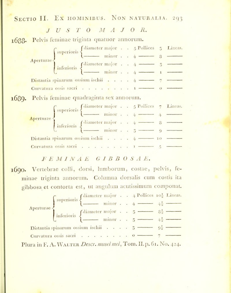 J U S T O MAJOR, l688* Pelvis feminae triginta quatuor annorum. Aperturae ^snperioris ^ ftliameter majox minor iiiferioris ^ f diaiueler major mmor Distantia spinanim ossium ischii Cur\^atiira ossis sacri .... 5 Polllces 4- — 4- 4 4 1 Lineas. l689» Pelvis feminae quadraginla sex annorum. Aperturae snpcrioris ^ f cliameLer major iinnor infcrioris «^ f (U.imcLer major mmor Distantia spinarum ossium ischii Curvaliira ossis sacri .... 5 Pollices 4 4. o 4- 1 7 8 9 10 5 Lineas. FEMINAE GIBBON A E. 1690. Vertebrae colli, dorsi, himborum, costae, pelvis, fe- minae trii^inta annorum. Columna dorsalis cum costis ita acutissimum componat. f diameter major . . 4. Pollices loj Lineas. sn pen oris ^ gibbosa et contorta est, ut angulum minor Aperturae <' iiiferioris ^ (diameter major minor Distantia spinarum ossium ischii Curvatura ossis sacri .... o 5 o '\ -'2 t)2 9i Plura in F. A. Walter Descr. museimei, Tom. 11. p. 61. No. 424. *