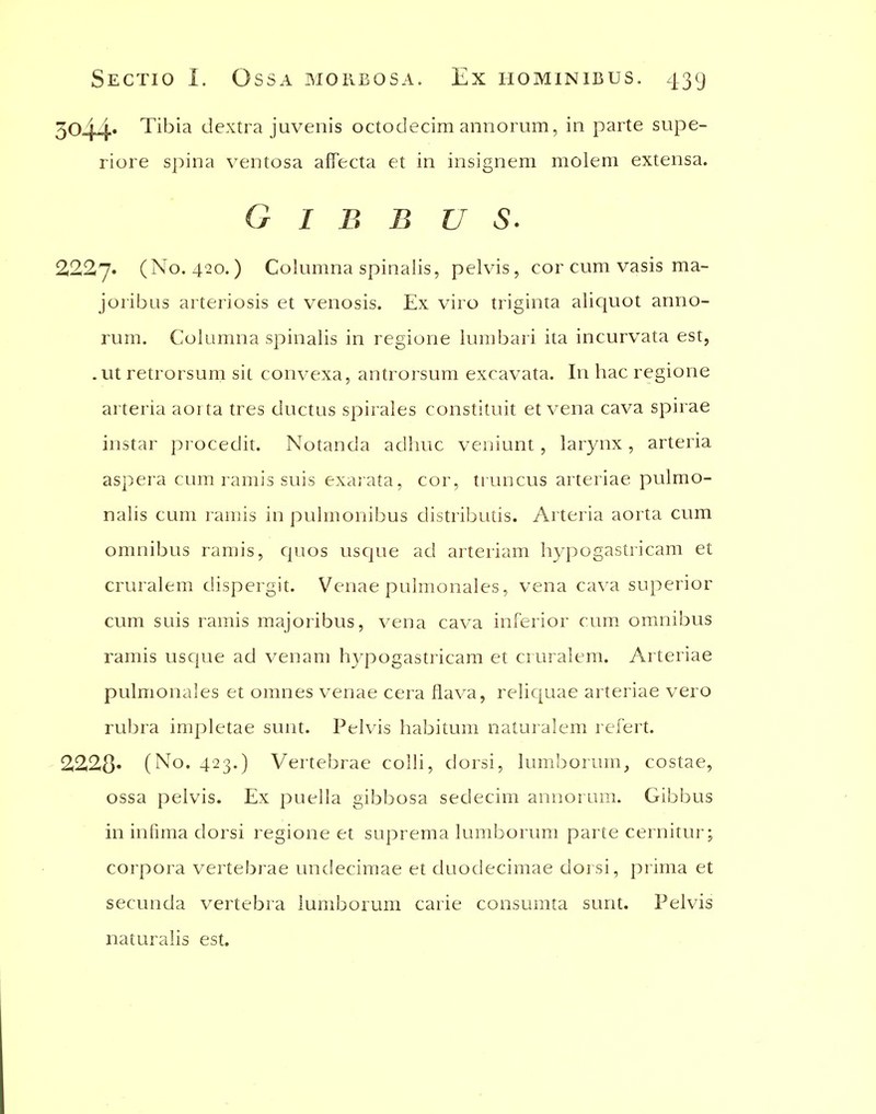 3044* Tibia dextra juvenis octodecim annorum, in parte supe- riore spina ventosa affecta et in insignem molem extensa. G I B B U S. 2227. (No. 420.) Columna spinalis, pelvis, cor cum vasis ma- joribas arteriosis et venosis. Ex viro triginta aliquot anno- rum. Columna spinalis in regione lumbari ita incurvata est, • Ut retrorsum sit convexa, antrorsum excavata. In hac regione arteria aorta tres ductus spirales constituit et vena cava spirae instar procedit. Notanda adhuc veniunt , larynx, arteria aspera cum ramis suis exaiata, cor, truncus arteriae pulmo- nalis cum ramis in pulmonibus distributis. Arteria aorta cum omnibus ramis, Cjuos uscjue ad arteriam hypogastricam et cruralem dispergit. Venae pulmonales, vena cava superior cum suis ramis majoribus, vena cava inferior cum omnibus ramis uscjue ad venam hypogastricam et cruralem. Arteriae pulmonales et omnes venae cera flava, reliquae arteriae vero rubra impletae suiu. Pelvis habitum naturalem refert. '2228* (No. 423.) Vertebrae colli, dorsi, lumborum^ costae, ossa pelvis. Ex puella gibbosa sedecim annoruiB. Gibbus in inlima dorsi regione et suprema lumborum parte cernitur; corpora vertebrae luidecimae et duodecimae dorsi, prima et secunda vertebra lumborum carie consumta sunt. Pelvis naturalis est.