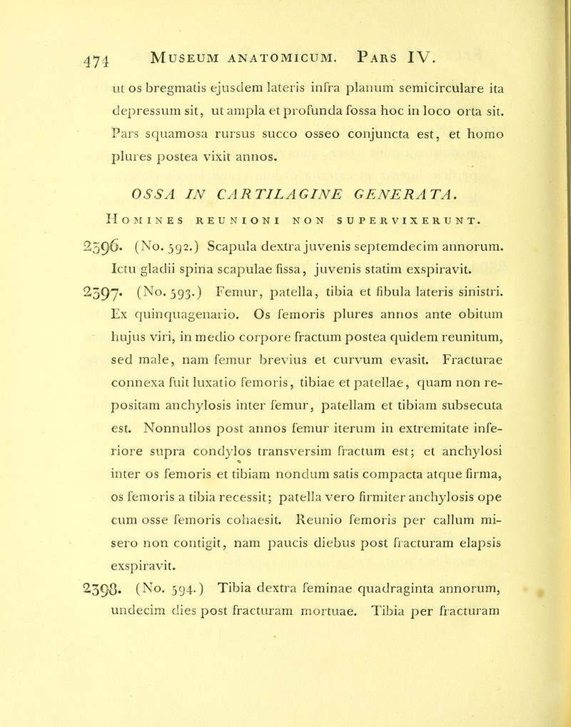 ut OS bregmatis ejusdem lateris infra planum semicirculare ita depressum sit, ut ampla et profunda fossa hoc in loco orta sit. Pars squamosa rursus succo osseo conjuncta est, et homo plures postea vixit annos. OSS A IN CARTILAGINE GENERATA. HoiMINES REUNION! NON SUPERVIXERUNT. 2396' (No. 592.) Scapula dextra juvenis septemdecim annorum. Ictu gladii spina scapulae fissa, juvenis statim exspiravit. 2597* (^^•593-) Femur, patella, tibia et fibula lateris sinistri. Ex quinquagenario. Os femoris plures annos ante obitum hujus viri, in medio corpore fractum postea quidem reunitum, sed male, nam femur brevius et curvum evasit. Fracturae connexa fuit luxatio femoris, tibiae et patellae, quam non re- positam anchylosis inter femur, patellam et tibiam subsecuta est. Nonnullos post annos femur iterum in extremitate infe- riore supra condylos transversim fractum est; et anchylosi inter os femoris et tibiam nondum satis compacta atque firma, OS femoris a tibia recessit; patella vero firmiter anchylosis ope cum osse femoris cohaesit. Reunio femoris per callum mi- sero non contigit, nam paucis diebus post fracturam elapsis exspiravit. 2398. (No. 394.) Tibia dextra feminae quadraginta annorum, undecim dies post fracturam mortuae. Tibia per fracturam