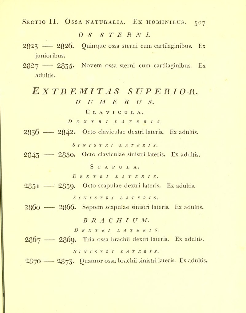 OS S T E R N L 2823 2326. Quinque ossa sterni cum cartilaginibus. Ex junioribus. 28^7 2835* Novem ossa sterni cum cartilaginibus. Ex adultis. EXTREMITAS SUP EPlIO R. H U M E R US, Clavicujla. d e x t r i l a t e r i s. 2836 2842» Octo claviculae dextri lateris. Ex adultis. SiNISTRI LATERIS. 2843 2850. Octo claviculae sinistri lateris. Ex adultis. Scapula. Dextri lateris. 2851 ~ 2,859* Octo scapulae dextri lateris. Ex adultis. Sinistri lateris. 286o 2866. Septem scapulae sinistri lateris. Ex adulds. B R A C H I U M. Dextri LATERIS. 2867 2869. Tria ossa brachii dextri lateris. Ex adulus. Sinistri lateris. 2870 — 2873* Quatuor ossa brachii sinistri lateris. Ex adukis.