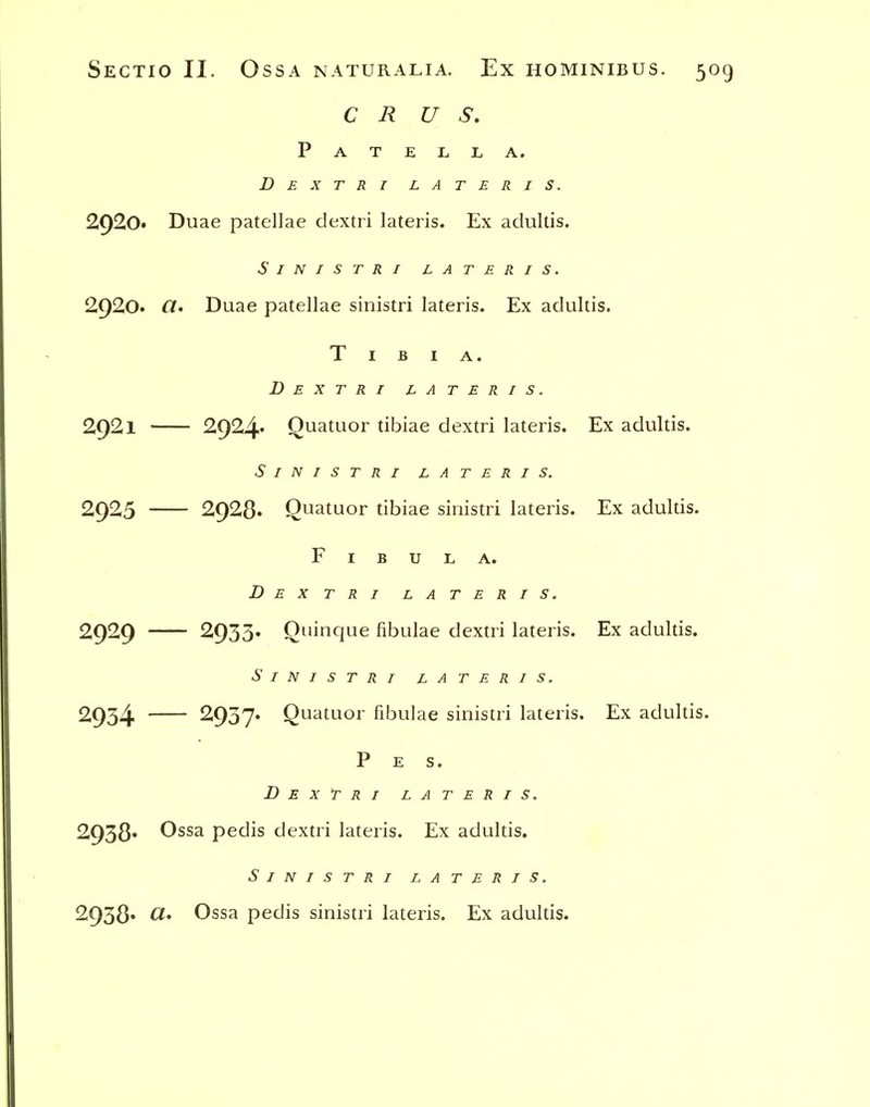 C R U S. Patella. Dextri lateris. 2920* Duae patellae dextri lateris. Ex adultis. SiNISTRI LATERIS. 2920. Ct» Duae patellae sinistri lateris. Ex adultis. Tibia. Dextri lateris. 2921 2924* Quatuor tibiae dextri lateris. Ex adultis. Sinistri lateris. 2925 2928* Quatuor tibiae sinistri lateris. Ex adultis. Fibula. Dextri lateris. 2929 2933. Qninque fibulae dextri lateris. Ex adultis. Sinistri lateris. 2934 ^937* Quatuor fibulae sinistri lateris. Ex adultis. Pes. Dextri lateris. 2938* Ossa pedis dextri lateris. Ex adultis. Sinistri lateris. 2938* ^* Ossa pedis sinistri lateris. Ex adultis.