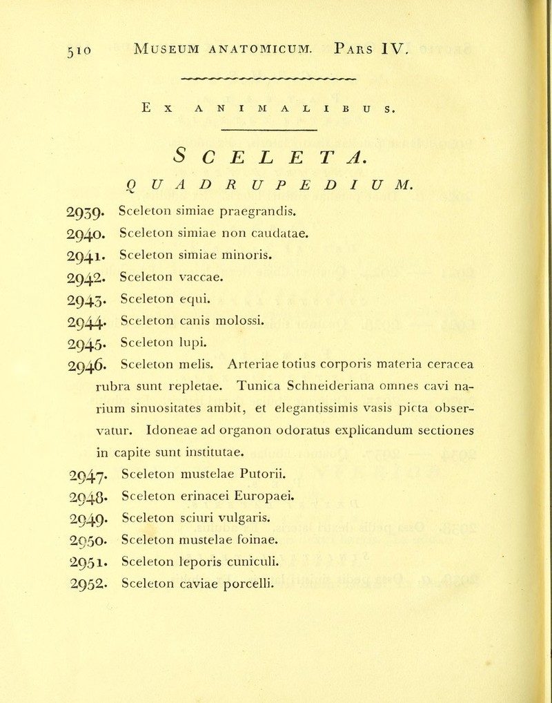 Ex ANIMAI^IBUS. S C E L E T A. Q U A D R U P E D I U M. 2939. Sceleton simiae praegrandis. 2940. Sceleton simiae non caudatae. 2941* Sceleton simiae minoris. 2942- Sceleton vaccae. 2.943* Sceleton equi. 2944* Sceleton canis molossi. 2945* Sceleton lupi. 2946* Sceleton melis. Arteriae totius corporis materia ceracea rubra sunt repletae. Tunica Schneideriana omnes cavi na- rium sinuositates ambit, et elegantissimis vasis picta obser- vatur. Idoneae ad organon odoratus explicandum sectiones in capite sunt institutae. 2947* Sceleton mustelae Putorii. 2948* Sceleton erinacei Europaei. 2949* Sceleton sciuri vulgaris. 2950* Sceleton mustelae foinae. 2951* Sceleton leporis cuniculi. 2952. Sceleton caviae porcelli.