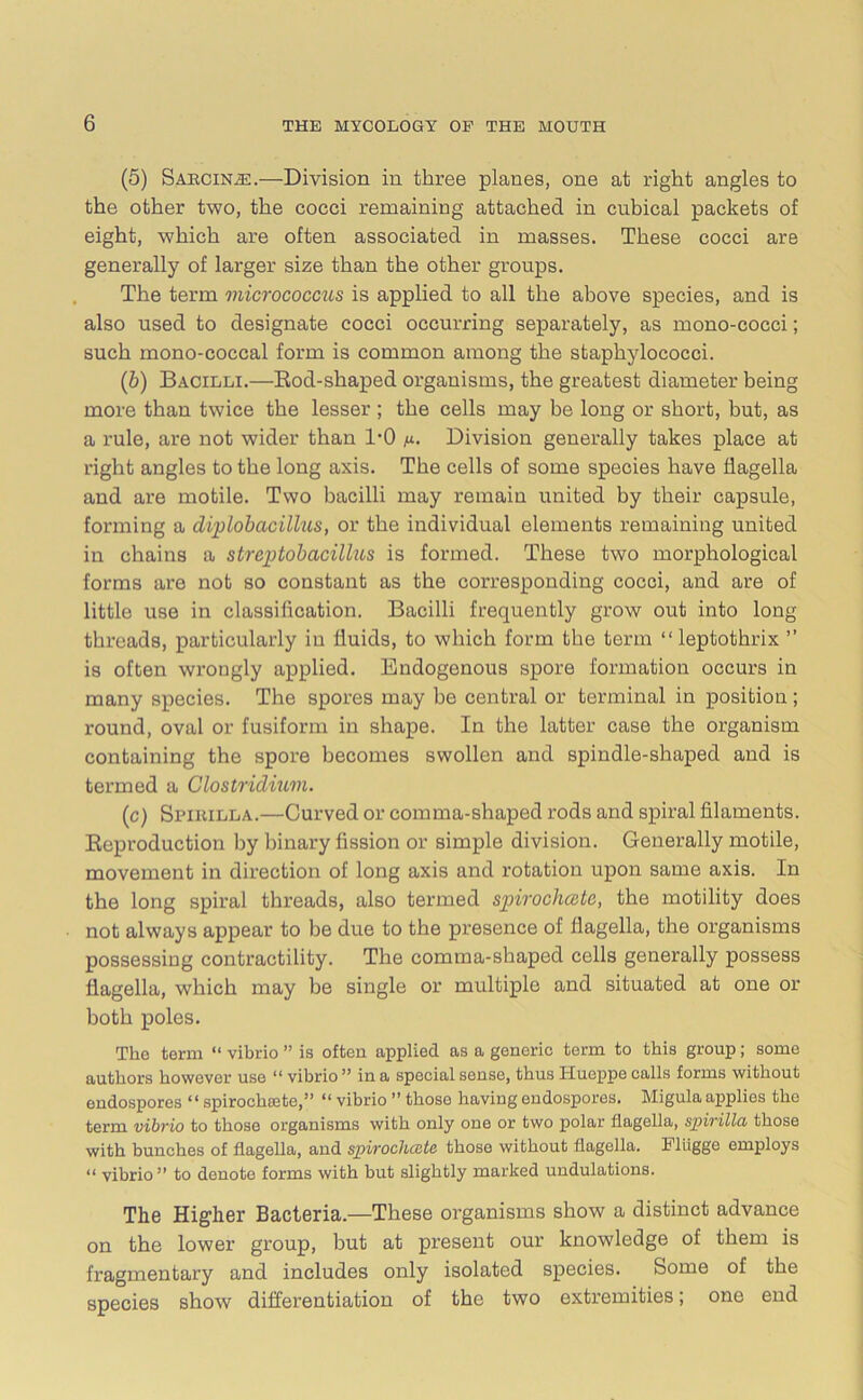 (5) Sakcin^l—Division in three planes, one at right angles to the other two, the cocci remaining attached in cubical packets of eight, which are often associated in masses. These cocci are generally of larger size than the other groups. The term micrococcus is applied to all the above species, and is also used to designate cocci occurring separately, as mono-cocci; such mono-coccal form is common among the staphylococci. (b) Bacilli.—Rod-shaped organisms, the greatest diameter being more than twice the lesser; the cells may be long or short, but, as a rule, are not wider than 1-0 n. Division generally takes place at right angles to the long axis. The cells of some species have flagella and are motile. Two bacilli may remain united by their capsule, forming a cliplobacillus, or the individual elements remaining united in chains a streptobacillus is formed. These two morphological forms are not so constant as the corresponding cocci, and are of little use in classification. Bacilli frequently grow out into long threads, particularly in fluids, to which form the term “ leptothrix ” is often wrongly applied. Endogenous spore formation occurs in many species. The spores may be central or terminal in position; round, oval or fusiform in shape. In the latter case the organism containing the spore becomes swollen and spindle-shaped and is termed a Clostridium. (c) Spirilla.—Curved or comma-shaped rods and spiral filaments. Reproduction by binary fission or simple division. Generally motile, movement in direction of long axis and rotation upon same axis. In the long spiral threads, also termed spirochcctc, the motility does not always appear to be due to the presence of flagella, the organisms possessing contractility. The comma-shaped cells generally possess flagella, which may be single or multiple and situated at one or both poles. The term “ vibrio ” is often applied as a generic term to this group; some authors however use “ vibrio ” in a special sense, thus Hueppe calls forms without endospores “ spirochaete,” “ vibrio ” those having endospores. Migula applies the term vibrio to those organisms with only one or two polar flagella, spirilla those with bunches of flagella, and spirochcste those without flagella. Fliigge employs “ vibrio” to denote forms with but slightly marked undulations. The Higher Bacteria.—These organisms show a distinct advance on the lower group, but at present our knowledge of them is fragmentary and includes only isolated species. Some of the species show differentiation of the two extremities; one end