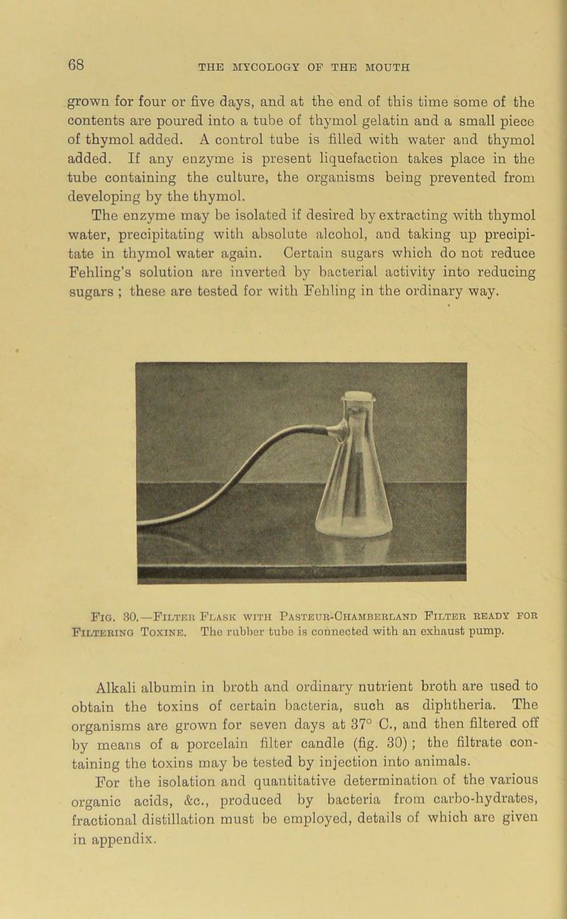grown for four or five days, and at the end of this time some of the contents are poured into a tube of thymol gelatin and a small piece of thymol added. A control tube is filled with water and thymol added. If any enzyme is present liquefaction takes place in the tube containing the culture, the organisms being prevented from developing by the thymol. The enzyme may be isolated if desired by extracting with thymol water, precipitating with absolute alcohol, and taking up precipi- tate in thymol water again. Certain sugars which do not reduce Fehling’s solution are inverted by bacterial activity into reducing sugars ; these are tested for with Fehling in the ordinary way. Fig. 30.—Filter Flask with Pasteur-Ciiamberland Filter ready for Filtering Toxine. The rubber tube is connected with an exhaust pump. Alkali albumin in broth and ordinary nutrient broth are used to obtain the toxins of certain bacteria, such as diphtheria. The organisms are grown for seven days at 37° C., and then filtered off by means of a porcelain filter candle (fig. 30) ; the filtrate con- taining the toxins may be tested by injection into animals. For the isolation and quantitative determination of the various organic acids, &c., produced by bacteria from carbo-hydrates, fractional distillation must be employed, details of which are given in appendix.