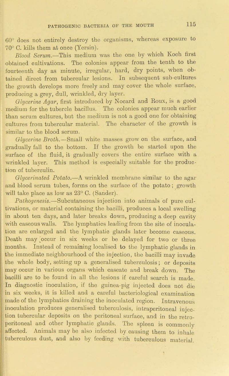 60° does not entirely destroy the organisms, whereas exposure to 70° C. kills them at once (Yersin). Blood Scrum.—This medium was the one by which Koch first obtained cultivations. The colonies appear from the tenth to the fourteenth day as minute, irregular, hard, dry points, when ob- tained direct from tubercular lesions. In subsequent sub-cultures the growth develops more freely and may cover the whole surface, producing a grey, dull, wrinkled, dry layer. Glycerine Agar, first introduced by Nocard and Roux, is a good medium for the tubercle bacillus. The colonies appear much earlier than serum cultures, but the medium is not a good one for obtaining cultures from tubercular material. The character of the growth is similar to the blood serum. Glycerine Broth. — Small white masses grow on the surface, and gradually fall to the bottom. If the growth be started upon the surface of the fluid, it gradually covers the entire surface with a wrinkled layer. This method is especially suitable for the produc- tion of tuberculin. Glycerinated Potato.—A wrinkled membrane similar to the agar and blood serum tubes, forms on the surface of the potato; growth will take place as low as 23° C. (Sander). Pathogenesis.—Subcutaneous injection into animals of pure cul- tivations, or material containing the bacilli, produces a local swelling in about ten days, and later breaks down, producing a deep cavity with caseous walls. The lymphatics leading from the site of inocula- tion are enlarged and the lymphatic glands later become caseous. Death may occur in six weeks or be delayed for two or three months. Instead of remaining localised to the lymphatic glands in the immediate neighbourhood of the injection, the bacilli may invade the whole body, setting up a generalised tuberculosis; or deposits may occur in various organs which caseate and break down. The bacilli are to be found in all the lesions if careful search is made. In diagnostic inoculation, if the guinea-pig injected does not die in six weeks, it is killed and a careful bacteriological examination made of the lymphatics draining the inoculated region. Intravenous inoculation produces generalised tuberculosis, intraperitoneal injec- tion tubercular deposits on the peritoneal surface, and in the retro- peritoneal and other lymphatic glands. The spleen is commonly affected. Animals may be also infected by causing them to inhale tuberculous dust, and also by feeding with tuberculous material.