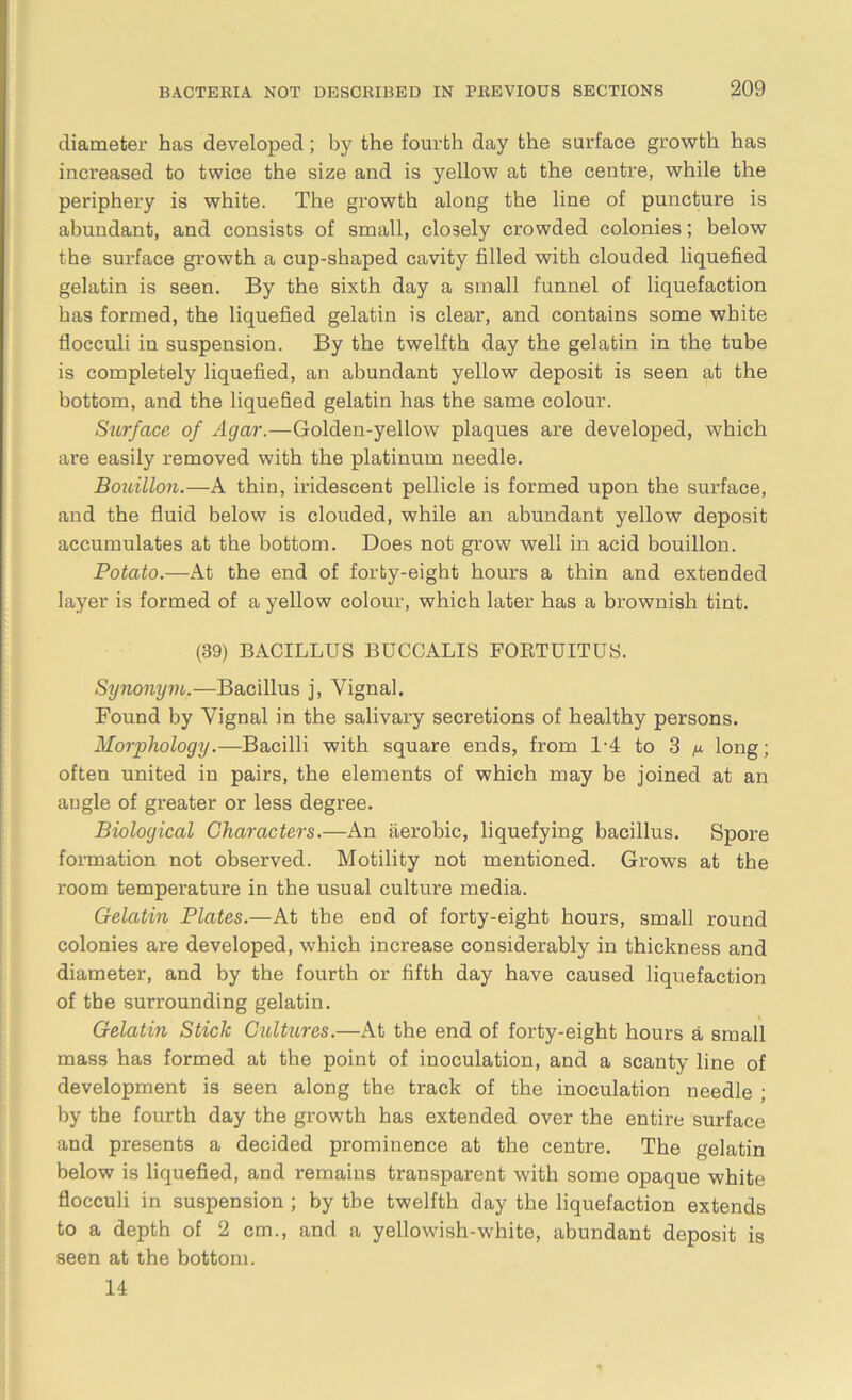diameter has developed; by the fourth day the surface growth has increased to twice the size and is yellow at the centre, while the periphery is white. The growth along the line of puncture is abundant, and consists of small, closely crowded colonies; below the surface growth a cup-shaped cavity filled with clouded liquefied gelatin is seen. By the sixth day a small funnel of liquefaction has formed, the liquefied gelatin is clear, and contains some white flocculi in suspension. By the twelfth day the gelatin in the tube is completely liquefied, an abundant yellow deposit is seen at the bottom, and the liquefied gelatin has the same colour. Surface of Agar.—Golden-yellow plaques are developed, which are easily removed with the platinum needle. Bouillon.—A thin, iridescent pellicle is formed upon the surface, and the fluid below is clouded, while an abundant yellow deposit accumulates at the bottom. Does not grow well in acid bouillon. Potato.—At the end of forty-eight hours a thin and extended layer is formed of a yellow colour, which later has a brownish tint. (39) BACILLUS BUCCALIS FORTUITUS. Synonym.—Bacillus j, Yignal. Found by Yignal in the salivary secretions of healthy persons. Morphology.—Bacilli with square ends, from 1-4 to 3 n long; often united in pairs, the elements of which may be joined at an augle of greater or less degree. Biological Characters.—An aerobic, liquefying bacillus. Spore formation not observed. Motility not mentioned. Grows at the room temperature in the usual culture media. Gelatin Plates.—At the end of forty-eight hours, small round colonies are developed, which increase considerably in thickness and diameter, and by the fourth or fifth day have caused liquefaction of the surrounding gelatin. Gelatin Stick Cultures.—At the end of forty-eight hours a small mass has formed at the point of inoculation, and a scanty line of development is seen along the track of the inoculation needle ; by the fourth day the growth has extended over the entire surface and presents a decided prominence at the centre. The gelatin below is liquefied, and remains transparent with some opaque white flocculi in suspension ; by the twelfth day the liquefaction extends to a depth of 2 cm., and a yellowish-white, abundant deposit is seen at the bottom. 14