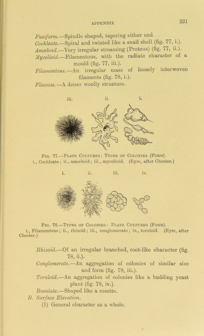 Fusiform.—Spindle shaped, tapering either end. Gochleate.—Spiral and twisted like a snail shell (fig. 7 (, i.). Amoeboid.—Very irregular streaming (Proteus) (fig. 77, ii.). Mycelioid.—Filamentous, with the radiate character of a mould (fig. 77, iii.). Filamentous.—An irregular mass of loosely interwoven filaments (fig. 78, i.). Floccose.—A dense woolly structure. iii. ii- i. Pig. 77.—Plate Cultures: Types oe Colonies (Form). i., Cochleate; ii., amoeboid; iii., mycelioid. (Byre, after Chester.) i. ii. iii. iv. Fig. 78.—Types of Colonies : Plate Cultures (Form). i., Filamentous ; ii., rhizoid ; iii., conglomerate; iv., toruloid. (Eyre, after Chester.) Rhizoid.—Of an irregular branched, root-like character (fig. 78, ii.). Conglomerate.—An aggregation of colonies of similar size and form (fig. 78, iii.). Toruloid.—An aggregation of colonies like a budding yeast plant (fig. 78, iv.). Rosulate.—Shaped like a rosette. B. Surface Elevation. (1) General character as a whole.