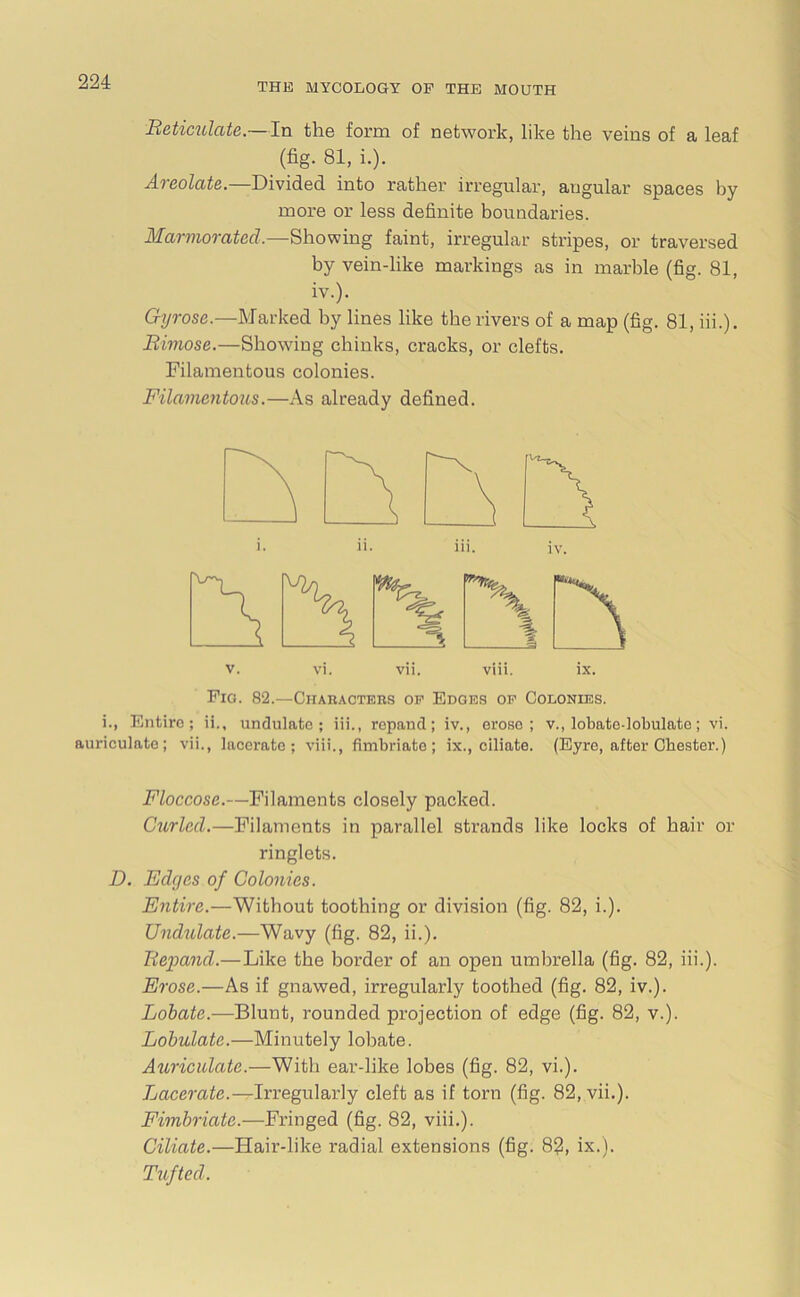 THE MYCOLOGY OP THE MOUTH Reticulate.—In the form of network, like the veins of a leaf (fig. 81, i.). Areolate.—Divided into rather irregular, angular spaces by more or less definite boundaries. Marmorated.—Showing faint, irregular stripes, or traversed by vein-like markings as in marble (fig. 81, iv.). Gyrose.—Marked by lines like the rivers of a map (fig. 81, iii.). Rimose.—Showing chinks, cracks, or clefts. Filamentous colonies. Filamentous.—As already defined. v. vi. vii. viii. ix. Pig. 82.—Characters op Edges op Colonies. i., Entire; ii., undulate; iii., repand; iv., erose ; v., lobate-lobulate; vi. auriculate; vii., lacerate; viii., fimbriate; ix., ciliate. (Eyre, after Chester.) Floccose.—Filaments closely packed. Curled.—Filaments in parallel strands like locks of hair or ringlets. D. Edcjcs of Colonies. Entire.—Without toothing or division (fig. 82, i.). Undulate.—Wavy (fig. 82, ii.). Repand.—Like the border of an open umbrella (fig. 82, iii.). Erose.—As if gnawed, irregularly toothed (fig. 82, iv.). Lobate.—Blunt, rounded projection of edge (fig. 82, v.). Lobulate.—Minutely lobate. Auriculate.—With ear-like lobes (fig. 82, vi.). Lacerate.—rlrregularly cleft as if torn (fig. 82, vii.). Fimbriate.—Fringed (fig. 82, viii.). Ciliate.—Hair-like radial extensions (fig. 82, ix.). Tufted.