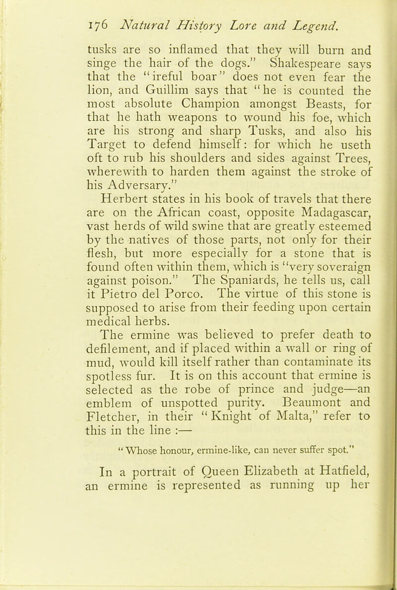 tusks are so inflamed that they will burn and singe the hair of the dogs. Shakespeare says that the ireful boar does not even fear the lion, and Guillim says that he is counted the most absolute Champion amongst Beasts, for that he hath weapons to wound his foe, which are his strong and sharp Tusks, and also his Target to defend himself: for which he useth oft to rub his shoulders and sides against Trees, wherewith to harden them against the stroke of his Adversary. Herbert states in his book of travels that there are on the African coast, opposite Madagascar, vast herds of wild swine that are greatly esteemed by the natives of those parts, not only for their flesh, but more especially for a stone that is found often within them, which is very soveraign against poison. The Spaniards, he tells us, call it Pietro del Porco. The virtue of this stone is supposed to arise from their feeding upon certain medical herbs. The ermine was believed to prefer death to defilement, and if placed within a wall or ring of mud, would kill itself rather than contaminate its spotless fur. It is on this account that ermine is selected as the robe of prince and judge—an emblem of unspotted purity. Beaumont and Fletcher, in their  Knight of Malta, refer to this in the line :— Whose honour, ermine-like, can never suffer spot. In a portrait of Queen Elizabeth at Hatfield, an ermine is represented as running up her