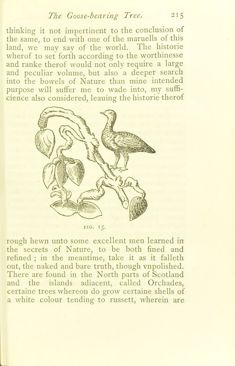 thinking it not impertinent to the conclusion of the same, to end with one of the maruells of this land, we may say of the world. The historic wherof to set forth according to the worthinesse and ranke therof would not only require a large and peculiar volume, but also a deeper search into the bowels of Nature than mine intended purpose will suffer me to wade into, my suffi- cience also considered, leaning the historic therof FIG. 15. rough hewn unto some excellent men learned in the secrets of Nature, to be both fined and refined ; in the meantime, take it as it falleth out, the naked and bare truth, though vnpolished. There are found in the North parts of Scotland and the islands adiacent, called Orchades, certaine trees whereon do grow certaine shells of a white colour tending to russett, wherein are