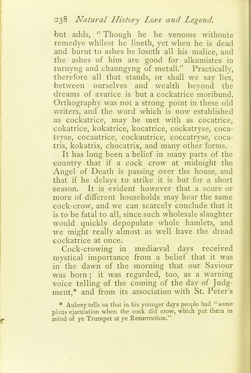 ■but adds,  Though he be venome withoute remedye whilest he Hueth, yet when he is dead and burnt to ashes he loseth all his malice, and the ashes of him are good for alkumistes in turnyng and chaungyng of metall. Practically, therefore all that stands, or shall we say lies, between ourselves and wealth beyond the ■dreams of avarice is but a cockatrice moribund. Orthography was not a strong point in these old writers, and the word which is now established as cockatrice, may be met with as cocatrice, ■cokatrice, kokatrice, kocatrice, cockatryse, coca- tryse, cocautrice, cockautrice, coccatryse, coca- tris, kokatrix, chocatrix, and many other forms. It has long been a belief in many parts of the country that if a cock crow at midnight the Angel of Death is passing over the house, and that if he delays to strike it is but for a short season. It is evident however that a score or more of different households may hear the same cock-crow, and we can scarcely conclude that it is to be fatal to all, since such wholesale slaughter would quickly depopulate whole hamlets, and we might really almost as well have the dread cockatrice at once. Cock-crowing in medieval days received mystical importance from a belief that it was in the dawn of the morning that our Saviour was born ; it was regarded, too, as a warning voice telling of the coming of the day of Judg- ment,* and from its association with St. Peter's * Aubrey tells us that in his younger days people had some pious ejaculation when the cock did crow, which put thena in mind of ye Trumpet at ye Resurrection.