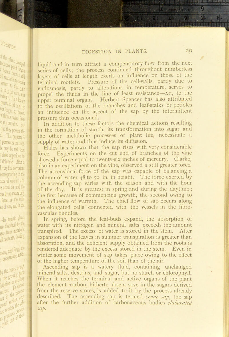 mi J to droop, out of it Bu, [““^^yfttwstiK luc tool- 's My be well seen 1 close apposition to ' /lAliwmttA 1/4... . * '.iwi, appv3iuuu I f dolomite. .Vtera l|Ver)'lineconosioni i'Af»jfnAnflin(T fA correspondio wpvnuuip IV Uit ates of calcium and i acted on and tbe bus by no means only force in tbe *itb- es of soil and in tie ill^ontenls, f the roots. otnr/' j tie iibino 0(0?’ To* ijtotbe _In aipiaiic plants jresbsorf^j!;i ises fro® ® ‘ 5, leading ^«es,andW'‘’* it Ik ten'j‘.r;the>“, ,dpt»^ DIGESTION IN PLANTS. 29 »f I •— [»'vpQU 15 t permeates tie root- fi I liquid and in turn attract a compensatory flow from the next series of cells; the process continued throughout numberless layers of cells at length exerts an influence on those of the terminal rootlets. Pressure of the cell-walls, partly due to endosmosis, partly to alterations in temperature, serves to propel the fluids in the line of least resistance—z>., to the upper terminal organs. Herbert Spencer has also attributed to the oscillations of the branches and leaf-stalks or petioles an influence on the ascent of the sap by the intermittent pressure thus occasioned. In addition to these factors the chemical actions resulting in the formation of starch, its transformation into sugar and the other metabolic processes of plant life, necessitate a supply of water and thus induce its diffusion. Hales has shown that the sap rises with very considerable force. Experiments on the cut end of branches of the vine showed a force equal to twenty-six inches of mercury. Clarke, also in an experiment on the vine, observed a still greater force. The ascensional force of the sap was capable of balancing a column of water 48 to 50 in. in height. The force exerted by the ascending sap varies with the season and with the hour of the day. It is greatest in spring and during the daytime; the first because of commencing growth, the second owing to the influence of warmth. The chief flow of sap occurs along the elongated cells connected with the vessels in the fibro- vascular bundles. In spring, before the leaf-buds expand, the absorption of water with its nitrogen and mineral salts exceeds the amount transpired. The excess of water is stored in the stem. After expansion of the leaves in summer transpiration is greater than absorption, and the deficient supply obtained from the roots is rendered adequate by the excess stored in the stem. Even in winter some movement of sap takes place owing to the effect of the higher temperature of the soil than of the air. Ascending sap is a watery fluid, containing unchanged mineral salts, dextrins, and sugar, but no starch or chlorophyll. When it reaches the terminal and active organs of the plant the element carbon, hitherto absent save in the sugars derived from the reserve stores, is added to it by the process already described. The ascending sap is termed crude sap, the sap after the further addition of carbonaceous bodies elahoraied sap.