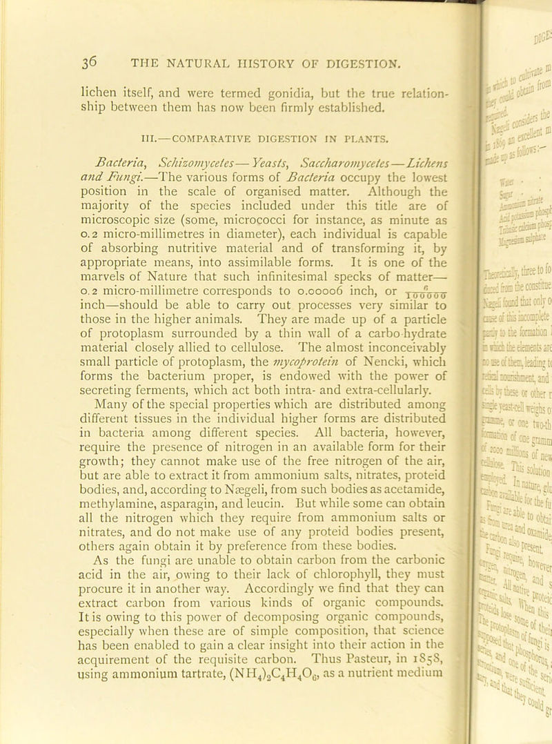 lichen itself, and were termed gonidia, but the true relation- ship between them has now been firmly established. III.—COMPARATIVE DIGESTION IN PLANTS. Bacteria, Schizomyceles— Yeasts, Saccharomycetes—Lichens and Fungi.—The various forms of Bacteria occupy the lowest position in the scale of organised matter. Although the majority of the species included under this title are of microscopic size (some, micrococci for instance, as minute as 0.2 micro-millimetres in diameter), each individual is capable of absorbing nutritive material and of transforming it, by appropriate means, into assimilable forms. It is one of the marvels of Nature that such infinitesimal specks of matter— 0.2 micro-millimetre corresponds to 0.00006 inch, or xurfinm inch—should be able to carry out processes very similar to those in the higher animals. They are made up of a particle of protoplasm surrounded by a thin wall of a carbo-hydrate material closely allied to cellulose. The almost inconceivably small particle of protoplasm, the mycoprotein of Nencki, which forms the bacterium proper, is endowed with the power of secreting ferments, which act both intra- and extra-cellularly. Many of the special properties which are distributed among different tissues in the individual higher forms are distributed in bacteria among different species. All bacteria, however, require the presence of nitrogen in an available form for their growth; they cannot make use of the free nitrogen of the air, but are able to extract it from ammonium salts, nitrates, proteid bodies, and, according to Niegeli, from such bodies as acetamide, methylamine, asparagin, and leucin. But while some can obtain all the nitrogen which they require from ammonium salts or nitrates, and do not make use of any proteid bodies present, others again obtain it by preference from these bodies. As the fungi are unable to obtain carbon from the carbonic acid in the air, owing to their lack of chlorophyll, they must procure it in another way. Accordingly we find that they can extract carbon from various kinds of organic compounds. It is owing to this power of decomposing organic compounds, especially when these are of simple composition, that science has been enabled to gain a clear insight into their action in the acquirement of the requisite carbon. Thus Pasteur, in 1S5S, using ammonium tartrate, (NH4)2C^H^Og, as a nutrient medium csifmthecoiiititiie tint only 0 GKofiliijiiicoapkte p? to is fenutioD. hnkitlieeleiseiiljari i:3:ofti)t3n.leadiD;ti raan!)iiiisli!i)«Dt,and t^htbae ot other r *^ya?Rei\te™hso 0: fflie tio-lh finDisoii of one j 11*- jtsbj-osf ir Pfsent wevet „ ■ s heatiijj 1^;