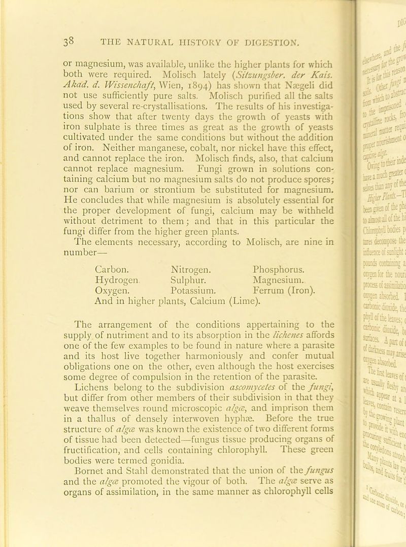 or magnesium, was available, unlike the higher plants for which both were required. Molisch lately {Sitzungsber. der Kais. Akad. d. Wissenchaft, Wien, 1894) has shown that Naegeli did not use sufficiently pure salts. Molisch purified all the salts used by several re-crystallisations. The results of his investiga- tions show that after twenty days the growth of yeasts with iron sulphate is three times as great as the growth of yeasts cultivated under the same conditions but without the addition of iron. Neither manganese, cobalt, nor nickel have this effect, and cannot replace the iron. Molisch finds, also, that calcium cannot replace magnesium. Fungi grown in solutions con- taining calcium but no magnesium salts do not produce spores; nor can barium or strontium be substituted for magnesium. He concludes that while magnesium is absolutely essential for the proper development of fungi, calcium may be withheld without detriment to them; and that in this particular the fungi differ from the higher green plants. The elements necessary, according to Molisch, are nine in number— Carbon. Nitrogen. Phosphorus. Hydrogen. Sulphur. Magnesium. Oxygen. Potassium. Ferrum (Iron). And in higher plants. Calcium (Lime). The arrangement of the conditions appertaining to the supply of nutriment and to its absorption in the lichenes affords one of the few examples to be found in nature where a parasite and its host live together harmoniously and confer mutual obligations one on the other, even although the host e.xercises some degree of compulsion in the retention of the parasite. Lichens belong to the subdivision ascomycetes of the fungi, but differ from other members of their subdivision in that they weave themselves round microscopic alga, and imprison them in a thallus of densely interwoven hyph^. Before the true structure of algcE. was known the existence of two different forms of tissue had been detected—fungus tissue producing organs of fructification, and cells containing chlorophyll. These green bodies were termed gonidia. Bornet and Stahl demonstrated that the union of the fungus and the aigce promoted the vigour of both. The ^4’''^ serve as organs of assimilation, in the same manner as chlorophyll cells
