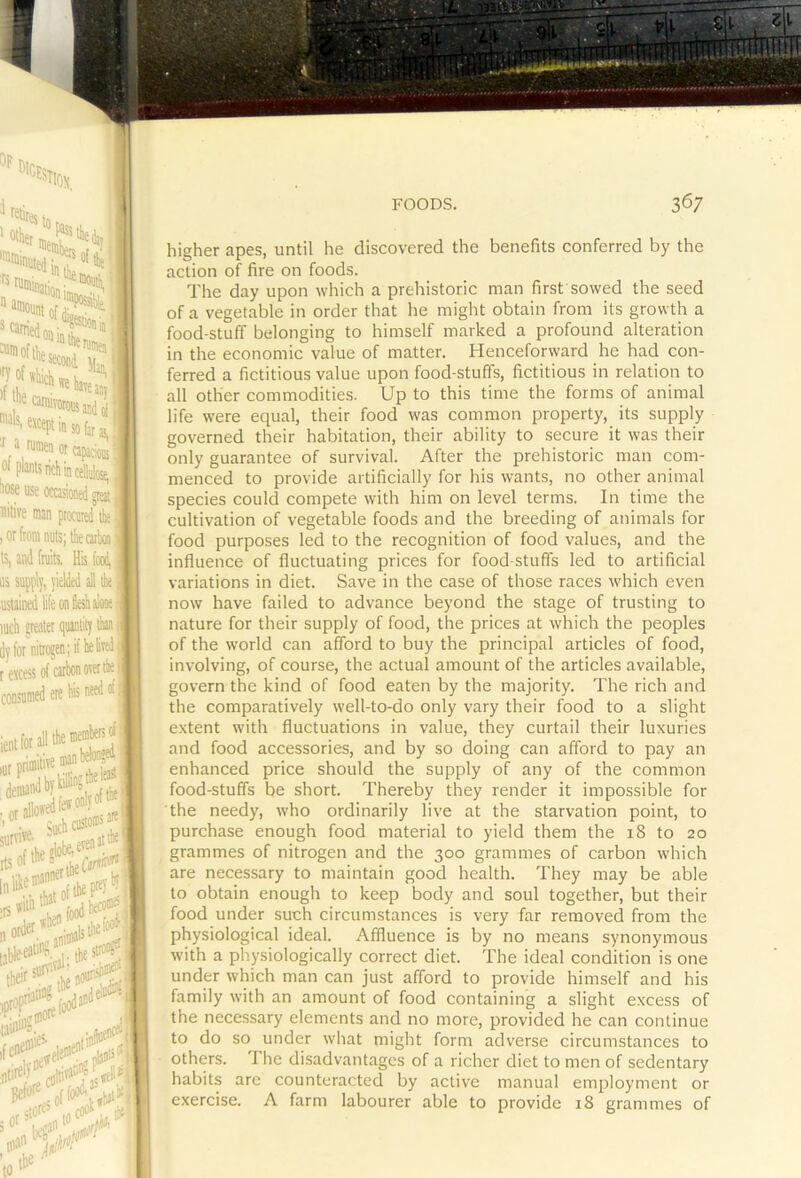 'lox, ;7“®W0iisatdli ■f ^ ni®n or apacioB of plants rich in cellulose i TO use occasioned great nitife man procured tk ,orfromnuts;ll)ecaib is, and fruits. His food, us supply, yielded i the uslained life on flesh alone luch greater quantity than dy for nitrogen; if he lived r excess of carbon over the consumed ere his need oi lurptitniwetn^W ,„rallo*eilfo*“' ! <|jchcusto®>“ sunive- ... „ order.*'’'. their ntiro'.'J.culti'^ Betorojoffl stores 5°'V luao FOODS. 367 higher apes, until he discovered the benefits conferred by the action of fire on foods. The day upon which a prehistoric man first sowed the seed of a vegetable in order that he might obtain from its growth a food-stuff belonging to himself marked a profound alteration in the economic value of matter. Henceforward he had con- ferred a fictitious value upon food-stuffs, fictitious in relation to all other commodities. Up to this time the forms of animal life were equal, their food was common property, its supply governed their habitation, their ability to secure it was their only guarantee of survival. After the prehistoric man com- menced to provide artificially for his wants, no other animal species could compete with him on level terms. In time the cultivation of vegetable foods and the breeding of animals for food purposes led to the recognition of food values, and the influence of fluctuating prices for food stuffs led to artificial variations in diet. Save in the case of those races which even now have failed to advance beyond the stage of trusting to nature for their supply of food, the prices at which the peoples of the world can afford to buy the principal articles of food, involving, of course, the actual amount of the articles available, govern the kind of food eaten by the majority. The rich and the comparatively well-to-do only vary their food to a slight e.xtent with fluctuations in value, they curtail their luxuries and food accessories, and by so doing can afford to pay an enhanced price should the supply of any of the common food-stuffs be short. Thereby they render it impossible for the needy, who ordinarily live at the starvation point, to purchase enough food material to yield them the 18 to 20 grammes of nitrogen and the 300 grammes of carbon which are necessary to maintain good health. They may be able to obtain enough to keep body and soul together, but their food under such circumstances is very far removed from the physiological ideal. Affluence is by no means synonymous with a physiologically correct diet. The ideal condition is one under which man can just afford to provide himself and his family with an amount of food containing a slight excess of the necessary elements and no more, provided he can continue to do so under what might form adverse circumstances to others. The disadvantages of a richer diet to men of sedentary habits are counteracted by active manual employment or exercise. A farm labourer able to provide 18 grammes of