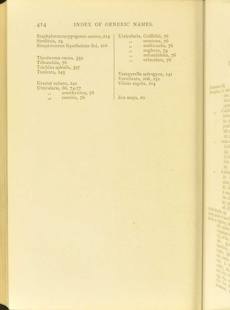 Staphylococcus pyogenes aureus, 214 Strelitzia, 24 Streptococcus liquefaciens ilei, 216 Theobroma cacao, 359 Tillsandsia, 76 Trichina spiralis, 397 Tunicata, 245 Uraster rubens, 241 Utricularia, 66, 74-77 ,, amethystina, 76 ,, crerulea, 76 Utricularia, Griffithii, 76 ,, montana, 76 ,. multicaulis, 76 „ neglecta, 74 ,, nelumbifolia, 76 ,, orbiculata, 76 Vampyrella spirogyra:, 141 Vertebrata, 106, 251 Vibrio rugula, 214 Zea mays, 20