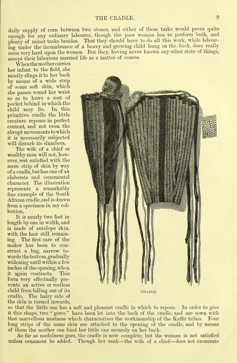 daily supply of corn between two stones, and either of these tasks would prove quite eiiouoh for any ordinary labourer, though the poor woman has to perform both, and plenty of minor tasks besides. That they should have to do all this work, while labour- ing under the incumbrance of a heavy and growing child hung on the back, does really seem very hard iipon the women. But they, having never known any other state of things, accept their laborious married life as a matter of course. When the mother carries her infant to the field, she mostly slings it to her back by means of a wide strip of some soft skm, which she passes round her waist so as to leave a sort of pocket behind in which the child may lie. In this primitive cradle the little creature reposes in perfect content, and not even the abrupt movements to which it is necessarily subjected will disturb its slumbers. The wife of a chief or wealthy man will not, how- ever, rest satisfied with the mere strip of skin by way of a cradle, but has one of an elaborate and ornamental character. The illustration represents a remarkably fine example of the South African cradle, and is drawn from a specimen in my col- lection. It is nearly two feet in length by one in width, and is made of antelope skin, with the hair still remain- ing. The first care of the maker has been to con- struct a bag, narrow to- wards the bottom, gradually widening until within a few inches of the opening, when it again contracts. This form very effectually pre- vents an active or restless child from falling out of its cradle. The hairy side of the skin is turned inwards, so that the little one has a soft and pleasant cradle in which to repose. In order to give it this shape, two  gores  have been let into the back of the cradle, and are sewn with that marvellous neatness which characterises the workmanship of the Kaffir tribes. Four long strips of the same skin are attached to the opening of the cradle, and by means of them the mother can bind her little one securely on her back. As far as usefulness goes, the cradle is now complete, but the woman is not satisfied unless ornament be added. Though her rank—the wife of a chief—does not exonerate CKADLE.