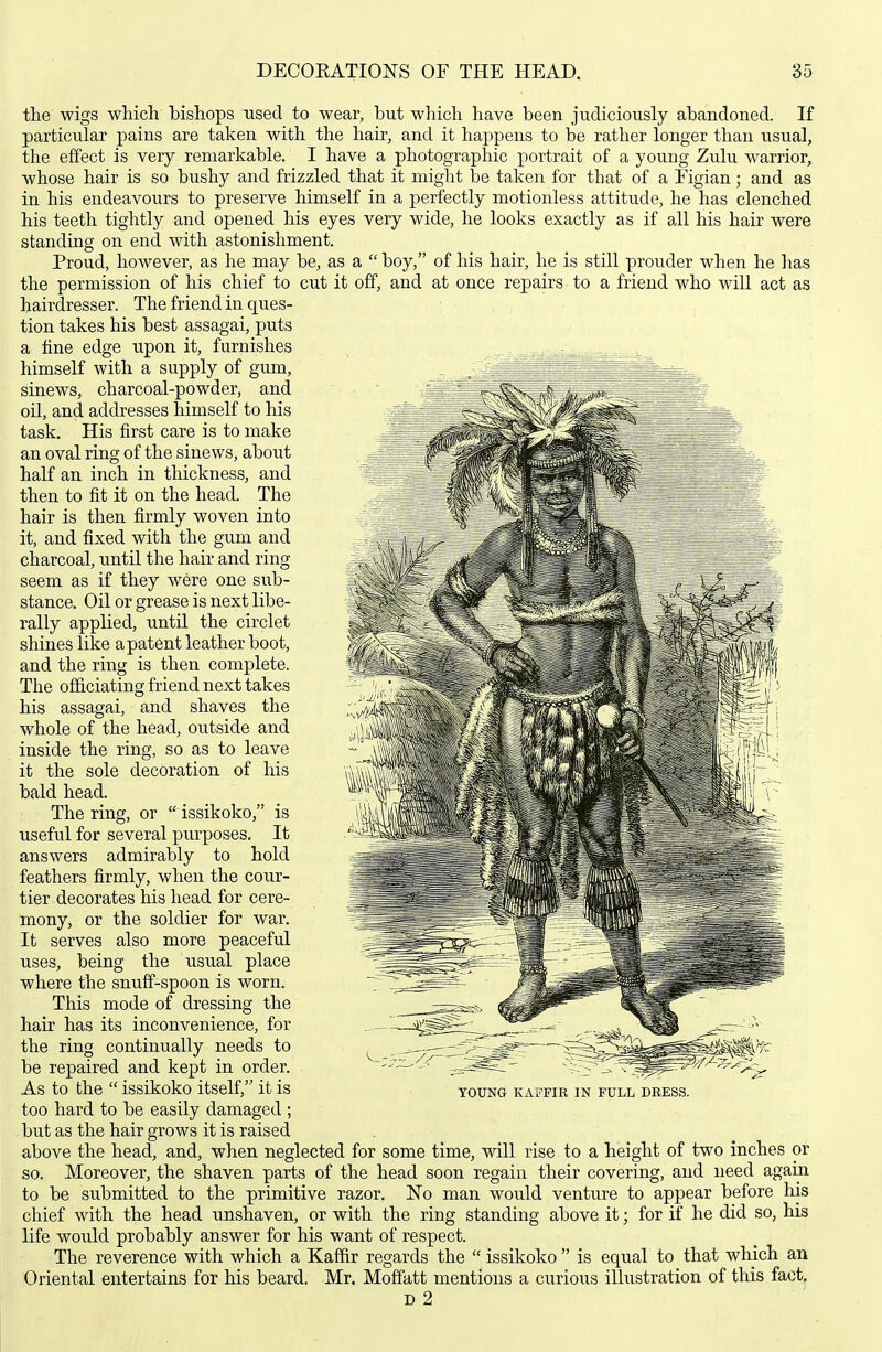 the wigs which bishops used to wear, but which have been judiciously abandoned. If particular pains are taken with the hair, and it happens to be rather longer than usual, the effect is very remarkable. I have a photographic portrait of a young Zulu warrior, whose hair is so bushy and frizzled that it might be taken for that of a Figian; and as in his endeavours to preserve himself in a perfectly motionless attitude, he has clenched his teeth tightly and opened his eyes very wide, he looks exactly as if all his hair were standing on end with astonishment. Proud, however, as he may be, as a  boy, of his hair, he is still prouder when he lias the permission of his chief to cut it off, and at once repairs to a friend who will act as hairdresser. The friend in ques- tion takes his best assagai, puts a fine edge upon it, furnishes . himself with a supply of gum, _ _ sinews, charcoal-powder, and oil, and addresses himself to his task. His first care is to make an oval ring of the sinews, about half an inch in thickness, and then to fit it on the head. The hair is then firmly woven into it, and fixed with the gum and charcoal, until the hair and ring seem as if they were one sub- stance. Oil or grease is next libe- rally applied, until the circlet shines like a patent leather boot, and the ring is then complete. The officiating friend next takes his assagai, and shaves the whole of the head, outside and inside the ring, so as to leave it the sole decoration of his bald head. The ring, or  issikoko, is useful for several purposes. It answers admirably to hold feathers firmly, when the cour- tier decorates his head for cere- mony, or the soldier for war. It serves also more peaceful uses, being the usual place where the snuff-spoon is worn. This mode of dressing the hair has its inconvenience, for the ring continually needs to be repaired and kept in order. As to the  issikoko itself, it is too hard to be easily damaged ; but as the hair grows it is raised above the head, and, when neglected for some time, v^dll rise to a height of two inches or so. Moreover, the shaven parts of the head soon regain their covering, and need again to be submitted to the primitive razor. No man would venture to appear before his chief with the head unshaven, or with the ring standing above it; for if he did so, his life would probably answer for his want of respect. The reverence with which a Kaffir regards the  issikoko  is equal to that which an Oriental entertains for his beard. Mr. Moffatt mentions a curious illustration of this fact, D 2 YOUNG KAFFIR IN FULL DRESS.