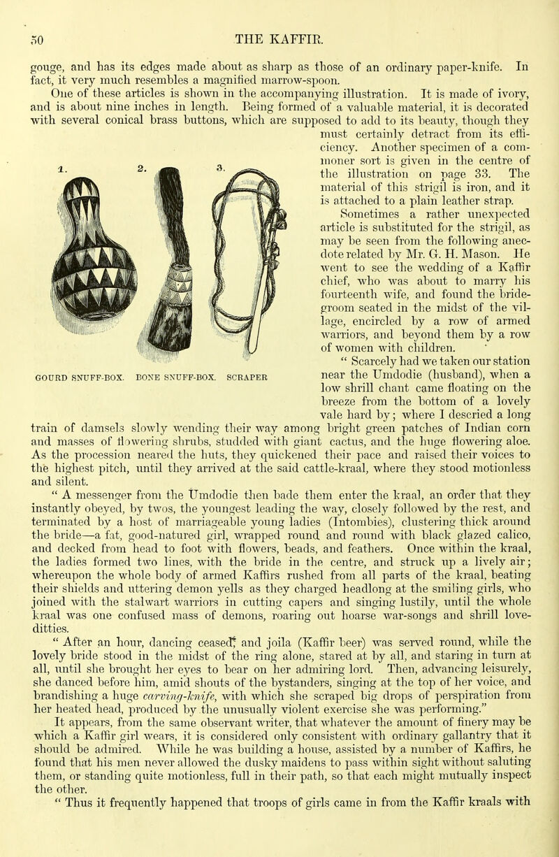 GOURD SNUFF-BOX. BONE SNUFF-BOX. SCRAPER gouge, and has its edges made about as sharp as those of an ordinary paper-knife. In fact, it very much resembles a magnified marrow-spoon. One of these articles is shown in the accompanying illu.stration. It is made of ivory, and is about nine inches in length. Being formed of a valuable material, it is decorated with several conical brass buttons, which are supposed to add to its beauty, though they must certainly detract from its effi- ciency. Another specimen of a com- moner sort is given in the centre of the illustration on page 33. The material of this strigil is iron, and it is attached to a plain leather strap. Sometimes a rather imexpected article is substituted for the strigil, as may be seen from the following anec- dote related by Mr. G. H. Mason. He went to see the wedding of a Kaffir chief, who was about to marry his fourteenth wife, and found the bride- groom seated in the midst of the vil- lage, encircled by a row of armed warriors, and beyond them by a row of women with children.  Scarcely had we taken our station near the Umdodie (husband), when a low shrill chant came floating on the breeze from the bottom of a lovely vale hard by; where I descried a long train of damsels slowly wending their way among bright green patches of Indian corn and masses of flowering shrubs, studded with giant cactus, and the huge flowering aloe. As the procession neared the huts, they quickened their pace and raised their voices to the highest pitch, until they arrived at the said cattle-kraal, where they stood motionless and silent.  A messenger from the Umdodie then bade them enter the kraal, an order that they instantly obeyed, by twos, the youngest leading the way, closely followed by the rest, and terminated by a host of marriageable young ladies (Intombies), clustering thick around the bride—a fat, good-natured girl, wrapped round and round with black glazed calico, and decked from head to foot with flowers, beads, and feathers. Once within the kraal, the ladies formed two lines, with the bride in the centre, and struck up a lively air; whereupon the whole body of armed Kaffirs rushed from all parts of the kraal, beating their shields and uttering demon yells as they charged headlong at the smib'ng girls, who joined with the stalwart warriors in cutting capers and singing lustily, iintil the whole kraal was one confused mass of demons, roaring out hoarse war-songs and shrill love- ditties.  After an hour, dancing ceased^ and joila (Kaffir beer) was served round, while the lovely bride stood in the midst of the ring alone, stared at by all, and staring in turn at all, until she brought her eyes to bear on her admiring lord. Then, advancing leisurely, she danced before him, amid shouts of the bystanders, singing at the top of her voice, and brandishing a huge carving-knife, with which she scraped big drops of perspiration from her heated head, produced by the unusually violent exercise she was performing. It appears, from the same observant writer, that whatever the amount of finery may be which a Kaffir girl wears, it is considered only consistent with ordinary gallantry that it should be admired. While he was building a house, assisted by a, number of Kaffirs, he found that his men never allowed the dusky maidens to pass within sight without saluting them, or standing quite motionless, full in their path, so that each might mutually inspect the other.  Thus it frequently happened that troops of girls came in from the Kaffir kraals with