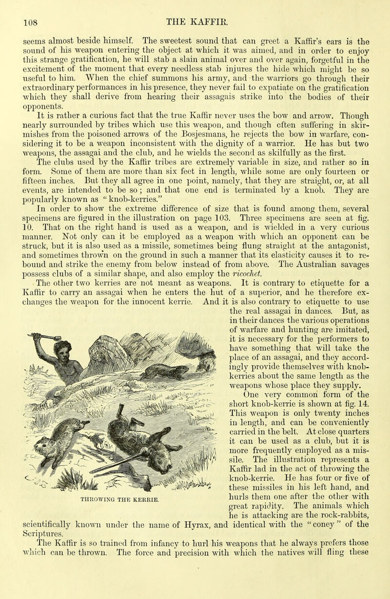 seems almost beside himself. The sweetest sound that can greet a Kaffir's ears is the sound of his weapon entering the object at which it was aimed, and in order to enjoy this strange gratification, he will stab a slain animal over and over again, forgetful in the excitement of the moment that every needless stab injures the hide which might be so useful to him. When the chief summons his army, and the warriors go through their extraordinary performances in his presence, they never fail to expatiate on the gratification which they shall derive from hearing their assagais strike into the bodies of their opponents. It is rather a curious fact that the true Kaffir never uses the bow and arrow. Though nearly surrounded by tribes which use this weapon, and though often suffering in skir- mishes from the poisoned arrows of the Bosjesmans, he rejects the bow in warfare, con- sidering it to be a weapon inconsistent with the dignity of a warrior. He has but two weapons, the assagai and the club, and he wields the second as skilfully as the first. The clubs used by the Kaffir tribes are extremely variable in size, and rather so in form. Some of them are more than six feet in length, while some are only fourteen or fifteen inches. But they all agree in one point, namely, that they are straight, or, at all events, are intended to be so ; and that one end is terminated by a knob. They are popularly known as  knob-kerries. In order to show the extreme difference of size that is found among them, several specimens are figured in the illustration on page 103. Three specimens are seen at fig. 10. That on the right hand is used as a weapon, and is wielded in a very curious Bianner. Not only can it be employed as a weapon with which an opponent can be struck, but it is also used as a missile, sometimes being flung straight at the antagonist, and sometimes thrown on the ground in such a manner that its elasticity causes it to re- bound and strike the enemy from below instead of from above. The Australian savages possess clubs of a similar shape, and also employ the ricochet. The other two kerries are not meant as weapons. It is contrary to etiquette for a Kaffir to carry an assagai when he enters the hut of a superior, and he therefore ex- changes the weapon for the innocent kerrie. And it is also contrary to etiquette to use the real assagai in dances. But, as in their dances the various operations of warfare and hunting are imitated, it is necessary for the performers to have something that will take the place of an assagai, and they accord- ingly provide themselves wdth knob- kerries about the same length as the weapons whose place they supply. One very common form of the short knob-kerrie is shown at fig. 14. This weapon is only twenty inches in length, and can be conveniently carried in the belt. At close quarters it can be used as a club, but it is more frequently employed as a mis- sile. The illustration represents a Kaffir lad in the act of throwing the knob-kerrie. He has four or five of these missiles in his left hand, and hurls them one after the other with great rapidity. The animals which he is attacking are the rock-rabbits, scientifically known under the name of Hyrax, and identical with the  coney  of the Scriptures. The Kaffir is so ti'ained from infancy to hurl his weapons that he always prefers those Aviiich can be thrown. The force and precision with which the natives will fling these THROWING THE KERRIE.