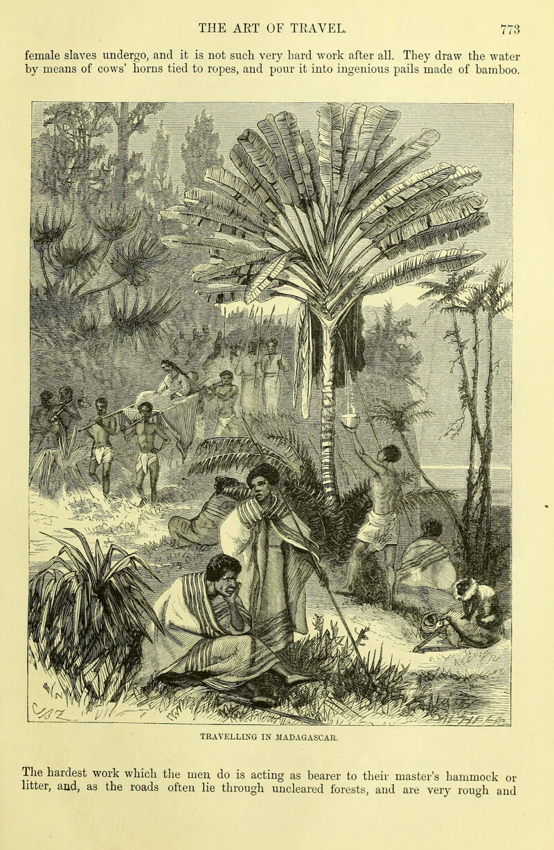 female slaves undergo, and it is not such very hard work after all. They draw the water by means of cows' horns tied to ropes, and pour it into ingenious pails made of bamboo. TRAVELLING IN MADAGASCAR. The hardest work which the men do is acting as bearer to their master's hammock or litter, and, as the roads often lie through uncleared forests, and are very rough and