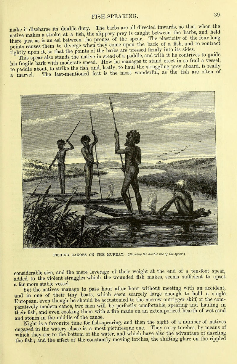 nSH-SPEAEING. make it discharge its double duty. The barbs are all directed inwards so that, when the native makes a stroke at a fish, the slippery prey is caught between the barbs, and held there iust as is an eel between the prongs of the spear. The elasticity of the four long paints causes them to diverge when they come upon the back of a fish, and to contract tightly upon it, so that the points of the barbs are pressed firmly into its sides. This spear also stands the native in stead of a paddle, and with it he_ contrives to guide his fracrile bark with moderate speed. How he manages to stand erect m so frail a vessel, to paddle about, to strike the fish, and, lastly, to haul the struggling prey aboard, is really a marvel The last-mentioned feat is the most wonderful, as the fish are often of FISHING CANOES ON THE MURRAY. (Showing the doiible use of the spear.) considerable size, and the mere leverage of their weight at the end of a ten-foot spear, added to the violent struggles which the wounded fish makes, seems sufficient to upset a far more stable vessel. Yet the natives manage to pass hour after hour without meetmg with an accident, and in one of their tiny boats, which seem scarcely large enough to hold a single European, even though he should be accustomed to the narrow outrigger skiff, or the com- paratively modern canoe, two men will be perfectly comfortable, spearing and hauling in their fish, and even cooking them with a fire made on an extemporised hearth of wet sand and stones in the middle of the canoe. Night is a favourite time for fish-spearing, and then the sight of a number of natives engaged in the watery chase is a most picturesque one. They carry torches, by means of which they see to the bottom of the water, and which have also the advantage of dazzling the fish; and the effect of the constantly moving torches, the shifting glare on the rippled