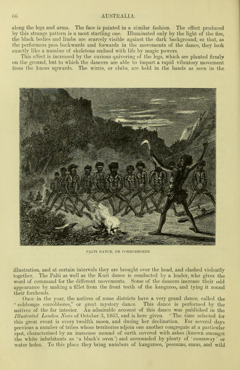 along the legs and arms. The face is painted in a similar fashion. The effect produced by this strange pattern is a most startling one. Illi;minated only by the light of the fire, the black bodies and limbs are scarcely visible against the dark background, so that, as the performers pass backwards and forwards in the movements of the dance, they look exactly like a number of skeletons endued witli life by magic powers. This effect is increased by the curious quivering of the legs, which are planted firmly on the ground, but to which the dancers are able to impart a rapid vibratory movement from the knees upwards. The wirris, or clubs, are held in the hands as seen in the PALTl DANCE, OR OORKOBBOREE. illustration, and at certain intervals they are brought over the head, and clashed violently together. The Palti as well as the Kuri dance is conducted by a leader, who gives the word of command for the different movements. Some of the dancers increase their odd appearance by making a fillet from the front teeth of the kangaroo, and tying it round their foreheads. Once in the year, the natives of some districts have a very grand dance, called the  cobbongo corrobboree, or great mystery dance. This dance is performed by the natives of the far interior. An admirable account of this dance was published in the lllubstrated London News of October 3, 1863, and is here given.  The time selected for this great event is every twelfth moon, and during her declination. For several days previous a number of tribes whose territories adjoin one another congregate at a particular spot, characterised by an immense mound of earth covered with ashes (known amongst the white inliabitants as ' a black's oven') and sui rounded by plenty of ' couraway' or water holes. To this place they bring numbers of kangaroos, 'possums, emus, and wild