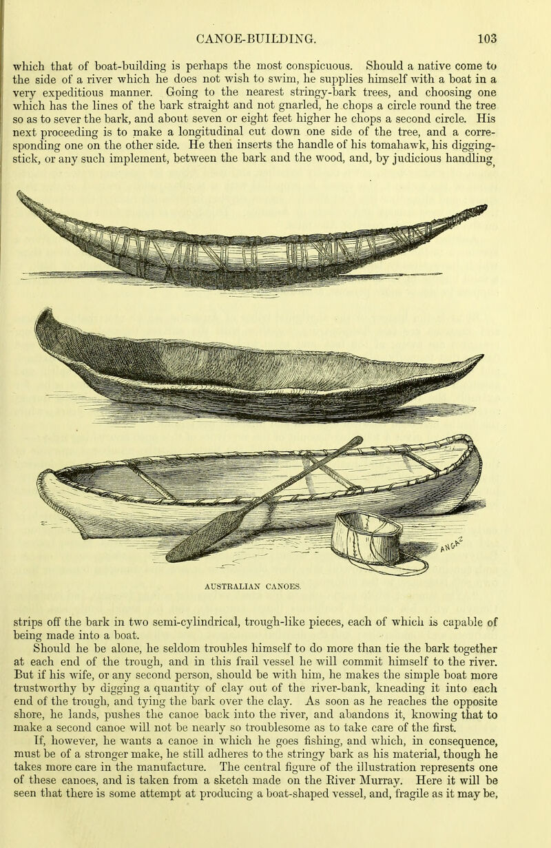 which that of boat-building is perhaps the most conspicuous. Should a native come to the side of a river which he does not wish to swim, he supplies himself with a boat in a very expeditious manner. Going to the nearest stringy-bark trees, and choosing one which has the lines of the bark straight and not gnarled, he chops a circle round the tree so as to sever the bark, and about seven or eight feet higher he chops a second circle. His next proceeding is to make a longitudinal cut down one side of the tree, and a corre- sponding one on the other side. He then inserts the handle of his tomahawk, his digging- stick, or any such implement, between the bark and the wood, and, by judicious handling AUSTRALIAN CANOES. strips off the bark in two semi-cylindrical, trough-like pieces, each of which is capable of being made into a boat. Should he be alone, he seldom troubles himself to do more than tie the bark together at each end of the trough, and in this frail vessel he will commit himself to the river. But if his wife, or any second person, should be with him, he makes the simple boat more trustworthy by digging a quantity of clay out of the river-bank, kneading it into each end of the trough, and tying the bark over the clay. As soon as he reaches the opposite shore, he lands, piishes the canoe back into the river, and abandons it, knowing that to make a second canoe will not be nearly so troublesome as to take care of the first. If, however, he wants a canoe in which he goes fishing, and which, in consequence, must be of a stronger make, he still adheres to the stringy bark as his material, though he takes more care in the manufacture. The central figure of the illustration represents one of these canoes, and is taken from a sketch made on the Eiver Murray. Here it will be seen that there is some attempt at producing a boat-shaped vessel, and, fragile as it may be,