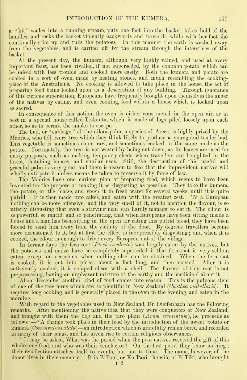 a  kit, wades into a running stream, puts one foot into the basket, takes hold of the handles, and rocks the basket violently backwards and forwards, while with her foot she continiially stirs up and rubs the potatoes. In this manner the earth is washed away from the vegetables, and is carried o& by the stream through the interstices of the basket. At the present day, the kumera, although very highly valued, and used at every important feast, has been rivalled, if not superseded, by the common potato, which can be raised with less trouble and cooked more easily. Both the kumera and potato are cooked in a sort of oven, made by heating stones, and much resembling the cooking- place of the Australians. No cooking is allowed to take place in the house, the act of preparing food being looked upon as a desecration of any building. Through ignorance of this curious superstition, Europeans have frequently brought upon themselves the anger of the natives by eating, and even cooking, food within a house which is looked upon as sacred. In consequence of this notion, the oven is either constructed in the open air, or at best in a special house called Te-kauta, which is made of logs piled loosely upon each other, so as to permit the smoke to escape. The bud, or cabbage, of the nikau-palm, a species of Areca, is highly prized by the Maories, who fell every tree which they think likely to produce a young and tender bud. This vegetable is sometimes eaten raw, and sometimes cooked in the same mode as the potato. Fortunately, the tree is not wasted by being cut down, as its leaves are used for many purposes, such as making temporary sheds when travellers are benighted in the forest, thatching houses, and similar uses. Still, the destruction of this useful and graceful palm is very great, and there is reason to fear that the improvident natives will wholly extirpate it, unless means be taken to preserve it by force of law. The Maories have one curious plan of preparing food, which seems to have been invented for the purpose of making it as disgusting as possible. They take the kumera, the potato, or the maize, and steep it in fresh water for several weeks, until it is quite putrid. It is then made into cakes, and eaten with the greatest zest. To a European nothing can be more offensive, and the very smell of it, not to mention the flavour, is so utterly disgusting that even a starving man can hardly manage to eat it. The odour is so powerful, so rancid, and so penetrating, that when Europeans have been sitting inside a house and a man has been sitting in the open air eating this putrid bread, they have been forced to send him away from the vicinity of the door. By degrees travellers become more accustomed to it, but at flrst the effect is inexpressibly disgusting; and when it is cooked, the odour is enough to drive every European out of the village. In former days the fern-root {Pteris esmlenta) was largely eaten by the natives, but the potatoes and maize have so completely superseded it that fern-root is very seldom eaten, except on occasions when nothing else can be obtained. When the fern-root is cooked, it is cut into pieces about a foot long, and then roasted. After it is sufficiently cooked, it is scraped clean with a shell. The flavour of this root is not prepossessing, having an unpleasant mixture of the earthy and the medicinal about it. About December another kind of food comes into season. This is the pulpous stem of one of the tree-ferns which are so plentiful in New Zealand {Cyathea medullar is). It requires long cooking, and is generally placed in the oven in the evening, and eaten in the morning. M'^ith regard to the vegetables used in New Zealand, Dr. Dieffenbach has the following- remarks. After mentioning the native idea that they were conquerors of New Zealand, and brought with them the dog and the taro plant (Arum esculentum), he proceeds as follows :— A change took place in their food by the introduction of the sweet potato or kumera {Convolvulvs batata)—an introduction which is gratefully remembered and recorded in many of their songs, and has given rise to certain religious observances.  It may be asked. What was the period when the poor natives received the gift of this wholesome food, and who was their benefactor ? On the first point they know nothing ; their recollection attaches itself to events, but not to time. The name, however, of the donor lives in their memorv. It is E' Paul, or Ko Paul, the wife of E' Tiki, who brouglit L 2