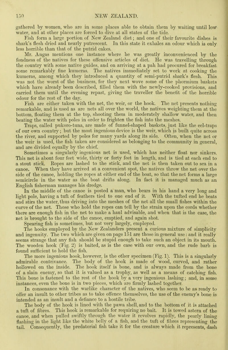 gathered by women, who are in some places able to obtain them by waiting until low water, and at other places are forced to dive at all states of the tide. Eish form a large portion of New Zealand diet; and one of their favourite dishes is shark's flesh dried and nearly putrescent. In this state it exhales an odour which is only less horrible than that of the putrid cakes. Mr. Angas mentions one instance where he was greatly inconvenienced by the fondness of the natives for these oifensive articles of diet. He was travelling through the country with some native guides, and on arriving at a pah had procured for breakfast some remarkably fine kumeras. The natives immediately set to work at cooking the kumeras, among which they introduced a quantity of semi-putrid shark's flesh. Thi.s was not the worst of the business, for they next wove some of the phormium baskets which have already been described, filled them with the newly-cooked provisions, and carried them until the evening repast, giving the traveller the benefit of the horrible odour for the rest of the day. Fish are either taken with the net, the weir, or the hook. The net presents nothing- remarkable, and is used as are nets all over the world, the natives weighting them at the bottom, floating them at the top, shooting them in moderately shallow water, and then beating the water with poles in order to frighten the fish into the meshes. Traps, called pukoro-tuna, are made of funnel-shaped baskets, just like the eel-traps of our own country; but the most ingenious device is the weir, which is built quite across the river, and supported by poles for many yards along its side. Often, when the net or the weir is used, the fish taken are considered as belonging to the community in general, and are divided equally by the chief. Sometimes a singularly ingenious net is used, which has neither float nor sinkers. This net is about four feet wide, thirty or forty feet in length, and is tied at each end to a stout stick. Eopes are lashed to the stick, and the net is then taken out to sea in a canoe. When they have arrived at a convenient spot, the natives throw the net over the side of the canoe, holding the ropes at either end of the boat, so that the net forms a large semicircle in the water as the boat drifts along. In fact it is managed much as an English fisherman manages his dredge. In the middle of the canoe is posted a man, who bears in his hand a very long and light pole, having a tuft of feathers tied to one end of it. With the tufted end he beats and stirs the water, thus driving into the meshes of the net all the small fishes within the curve of the net. Those who hold the ropes can tell by the strain upon the cords whether there are enough fish in the net to make a haul advisable, and when that is the case, the net is brought to the side of the canoe, emptied, and again shot. Spearing fish is sometimes, but not very largely, employed. The hooks employed by the New Zealanders present a curious mixture of simplicity and ingenuity. The two which are given on page 151 are those in general use: and it really seems strange that any fish should be stupid enough to take such an object in its mouth. The wooden hook (Fig. 2) is baited, as is the case with our own, and the rude barb is found sufficient to hold the fish. The more ingenious hook, however, is the other specimen (Fig. 1). This is a singularly admirable contrivance. The body of the hook is made of wood, curved, and rather hollowed on the inside. The hook itself is bone, and is always made from the bone of a slain enemy, so that it is valued as a trophy, as well as a means of catching fish. This bone is fastened to the rest of the hook by a very ingenioiis lashing; and, in some instances, even the bone is in two pieces, which are firmly lashed together. In consonance with the warlike character of the natives, who seem to be as ready to offer an insult to other tribes as to take offence themselves, the use of the enemy's bone is intended as an insult and a defiance to a hostile tribe. The body of the hook is lined with the pawa shell, and to the bottom of it is attached a tuft of fibres. This hook is remarkable for requiring no bait. It is towed astern of the canoe, and when pulled swiftly through the water it revolves rapidly, the pearly lining flashing in the light like the white belly of a fish, and the tuft of fibres representing the tail. Consequently, the predatorial fish take it for the creature which it represents, dash