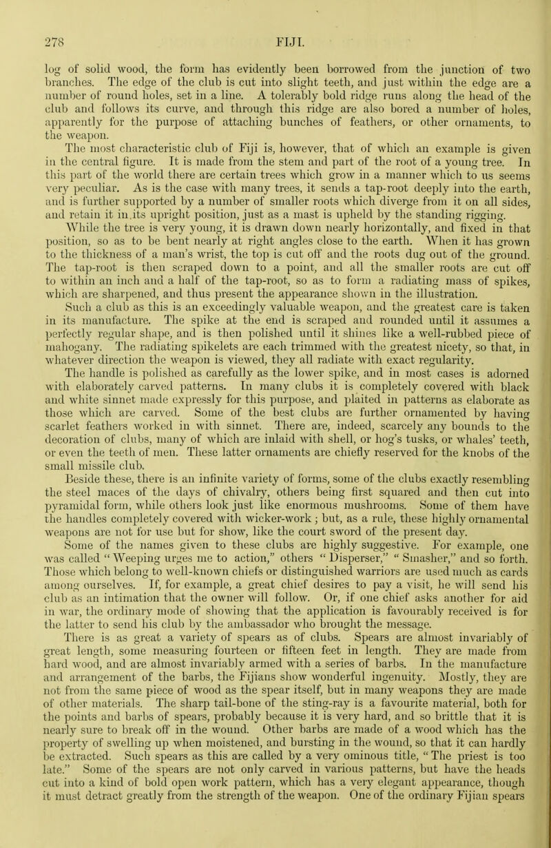 log of solid wood, the form has evidently been borrowed from the junction of two branches. The edge of the club is cut into slight teeth, and just within the edge are a number of round holes, set in a line. A tolerably bold ridge runs along the head of the club and follows its curve, and through this ridge are also bored a number of lioles, apparently for the purpose of attaching bunches of feathers, or other ornaments, to the weapon. The most characteristic club of Fiji is, however, that of which an example is given in the central figure. It is made from the stem and part of the root of a young tree. In this part of the world there are certain trees which grow in a manner which to ns seems very peculiar. As is the case with many trees, it sends a tap-root deeply into tlie earth, and is further supported by a number of smaller roots which diverge from it on all sides, and retain it in,its upright position, just as a mast is upheld by the standing rigging. While the tree is very young, it is drawn down nearly horizontally, and fixed in that position, so as to be bent nearly at right angles close to the earth. When it has grown to the thickness of a man's wrist, the top is cut off and the roots dug out of the ground. The tap-root is then scraped down to a point, and all the smaller roots are cut off to within an inch and a half of the tap-root, so as to form a radiating mass of spikes, which are sharpened, and thus present the appearance shown in the illustration. Such a club as this is an exceedingly valuable weapon, and the greatest care is taken in its manufacture. The spike at the end is scraped and rounded until it assumes a perfectly regular shape, and is then pohshed until it shines like a well-rubbed piece of mahogany. The radiating spikelets are each trimmed with the greatest nicety, so that, in whatever direction the weapon is viewed, they all radiate with exact regularity. The handle is polished as carefully as the lower spike, and in most cases is adorned with elaborately carved patterns. In many clubs it is completely covered with black and white sinnet made expressly for this purpose, and plaited in patterns as elaborate as those which are carved. Some of the best clubs are further ornamented by having scarlet feathers worked in with sinnet. There are, indeed, scarcely any bounds to the decoration of clubs, many of which are inlaid with shell, or hog's tusks, or whales' teeth, or even the teeth of men. These latter ornaments are chiefly reserved for the knobs of the small missile club. Beside these, there is an infinite variety of forms, some of the clubs exactly resembling the steel maces of the days of chivalry, others being first squared and then cut into pyramidal form, while others look just like enormous mushrooms. Some of them have the handles completely covered with wicker-work ; but, as a rule, these highly ornamental weapons are not for use but for show, like the court sword of the present day. Some of the names given to these clubs are highly suggestive. For example, one was caUed  Weeping urges me to action, others  Disperser,  Smasher, and so forth. Those which belong to well-known chiefs or distinguished warriors are used much as cards avuong ourselves. If, for example, a great chief desires to pay a visit, he will send his club as an intimation that the owner will follow. Or, if one chief asks another for aid in war, the ordinary mode of showing that the application is favourably received is for the latter to send his club by the ambassador who brought the message. There is as great a variety of spears as of clubs. Spears are almost invariably of great length, some measuring fourteen or fifteen feet in length. They are made from hard wood, and are almost invariably armed with a series of barbs. In the manufacture and arrangement of the barbs, the Fijians show wonderful ingenuity. Mostly, they are not from the same piece of wood as the spear itself, but in many weapons they are made of other materials. The sharp tail-bone of the sting-ray is a favourite material, both for the points and barbs of spears, probably because it is very hard, and so brittle that it is nearly sure to break off' in the wound. Other barbs are made of a wood which has the property of swelling up when moistened, and bursting in the wound, so that it can hardly be extracted. Such spears as this are called by a very ominous title,  The priest is too late. Some of the spears are not only carved in various patterns, but have the heads cut into a kind of bold open work pattern, which has a very elegant appearance, though it must detract greatly from the strength of the weapon. One of the ordinary Fijian spears