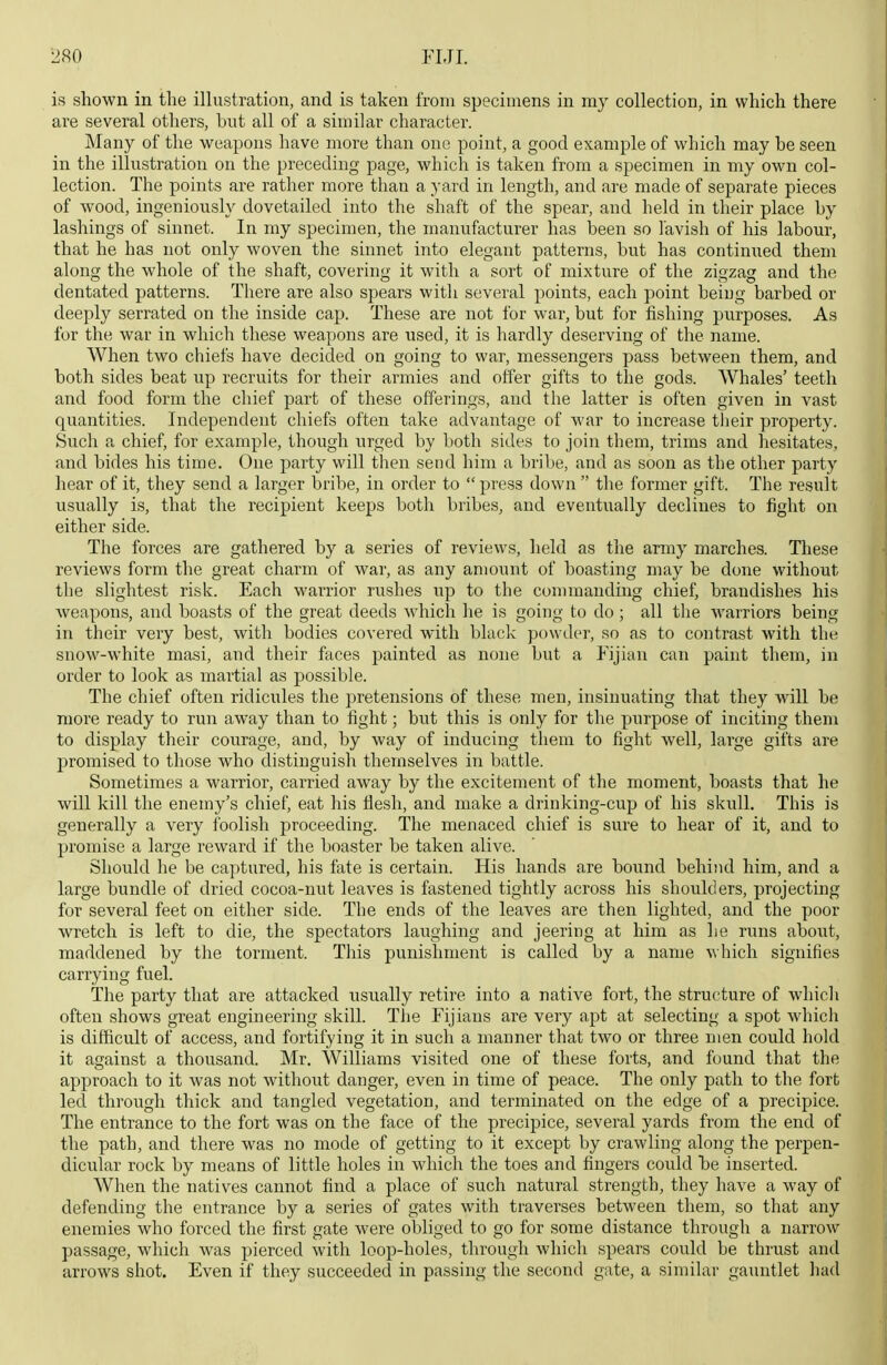 is shown in the ilhistration, and is taken from specimens in my collection, in which there are several others, but all of a similar character. Many of the weapons have more than one point, a good example of which may be seen in the illustration on the preceding page, which is taken from a specimen in my own col- lection. The points are rather more than a yard in length, and are made of separate pieces of wood, ingeniously dovetailed into the shaft of the spear, and held in their place by lashings of sinnet. In my specimen, the manufacturer has been so lavish of his labour, that he has not only woven the sinnet into elegant patterns, but has continued them along the whole of the shaft, covering it with a sort of mixture of the zigzag and the dentated patterns. There are also spears with several points, each point beiug barbed or deeply serrated on the inside cap. These are not for war, but for fishing purposes. As for the war in which these weapons are used, it is hardly deserving of the name. When two chiefs have decided on going to war, messengers pass between them, and both sides beat up recruits for their armies and offer gifts to the gods. Whales' teeth and food form the chief part of these offerings, and the latter is often given in vast quantities. Independent chiefs often take advantage of war to increase their property. Such a chief, for example, though urged by both sides to join them, trims and hesitates, and bides his time. One party will then send him a bribe, and as soon as the other party hear of it, they send a larger bribe, in order to  press down  the former gift. The result usually is, that the recipient keeps both bribes, and eventually declines to fight on either side. The forces are gathered by a series of reviews, held as the army marches. These reviews form the great charm of war, as any amount of boasting may be done without the slightest risk. Each warrior rushes up to the commanding chief, brandishes his weapons, and boasts of the great deeds which he is going to do ; all the Avarriors being in their very best, with bodies covered with black powder, so as to contrast with the snow-white masi, and their faces painted as none but a Fijian can paint them, in order to look as martial as possible. The chief often ridicules the pretensions of these men, insinuating that they will be more ready to run away than to fight; but this is only for the purpose of inciting them to display their courage, and, by way of inducing them to fight well, large gifts are promised to those who distinguish themselves in battle. Sometimes a warrior, carried away by the excitement of the moment, boasts that he will kill the enemy's chief, eat his flesh, and make a drinking-cup of his skull. This is generally a very foolish proceeding. The menaced chief is sure to hear of it, and to promise a large reward if the boaster be taken alive. Should he be captured, his fate is certain. His hands are bound behind him, and a large bundle of dried cocoa-nut leaves is fastened tightly across his shoulders, projecting for several feet on either side. The ends of the leaves are then lighted, and the poor wretch is left to die, the spectators laughing and jeering at him as he runs about, maddened by the torment. This punishment is called by a name which signifies carrying fuel. The party that are attacked usually retire into a native fort, the structure of whicli often shows great engineering skill. The Fijians are very apt at selecting a spot whicli is difficult of access, and fortifying it in such a manner that two or three men could hold it against a thousand. Mr. Williams visited one of these forts, and found that the approach to it was not without danger, even in time of peace. The only path to the fort led through thick and tangled vegetation, and terminated on the edge of a precipice. The entrance to the fort was on the face of the precipice, several yards from the end of the path, and there was no mode of getting to it except by crawling along the perpen- dicular rock by means of little holes in which the toes and fingers could he inserted. When the natives cannot find a place of such natural strength, they have a way of defending the entrance by a series of gates with traverses between them, so that any enemies who forced the first gate were obliged to go for some distance through a narrow passage, which was pierced with loop-holes, through which spears could be thrust and arrows shot. Even if they succeeded in passing the second gate, a similar gaiuitlet had