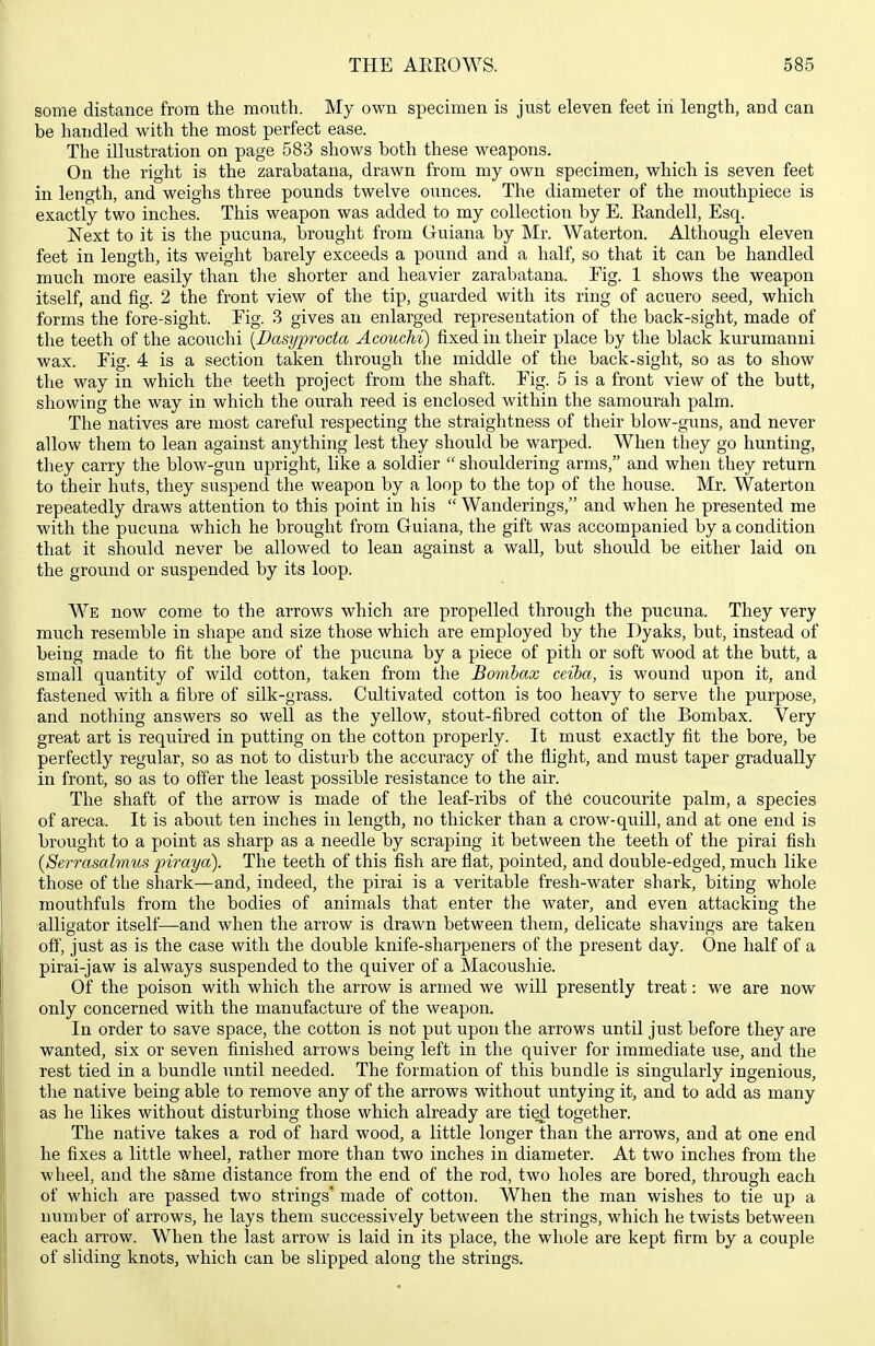 some distance from the mouth. My own specimen is just eleven feet in length, and can be handled with the most perfect ease. The illustration on page 583 shows both these weapons. On the right is the zarabatana, drawn from my own specimen, which is seven feet in length, and weighs three pounds twelve ounces. The diameter of the mouthpiece is exactly two inches. This weapon was added to my collection by E. Kandell, Esq. Next to it is the pucuna, brought from Guiana by Mr. Waterton. Although eleven feet in length, its weight barely exceeds a pound and a half, so that it can be handled much more easily than the shorter and heavier zarabatana. Fig. 1 shows the weapon itself, and fig. 2 the front view of the tip, guarded with its ring of acuero seed, which forms the fore-sight. Fig. 3 gives an enlarged representation of the back-sight, made of the teeth of the acoxichi [Dasyproda Acouchi) fixed in their place by the black kurumanni wax. Fig. 4 is a section taken through the middle of the back-sight, so as to show the way in which the teeth project from the shaft. Fig. 5 is a front view of the butt, showing the way in which the ourah reed is enclosed within the samourah palm. The natives are most careful respecting the straightness of their blow-guns, and never allow them to lean against anything lest they should be warped. When they go hunting, they carry the blow-gun upright, like a soldier  shouldering arms, and when they return to their huts, they suspend the weapon by a loop to the top of the house. Mr. Waterton repeatedly draws attention to this point in his  Wanderings, and when he presented me with the pucuna which he brought from Guiana, the gift was accompanied by a condition that it should never be allowed to lean against a wall, but should be either laid on the ground or suspended by its loop. We now come to the arrows which are propelled through the pucuna. They very much resemble in shape and size those which are employed by the Dyaks, but, instead of being made to fit the bore of the pucuna by a piece of pith or soft wood at the butt, a small quantity of wild cotton, taken from the Bomhax ceiha, is wound upon it, and fastened with a fibre of silk-grass. Cultivated cotton is too heavy to serve the purpose, and nothing answers so well as the yellow, stout-fibred cotton of the Bombax. Very great art is required in putting on the cotton properly. It must exactly fit the bore, be perfectly regular, so as not to disturb the accuracy of the flight, and must taper gradually in front, so as to offer the least possible resistance to the air. The shaft of the arrow is made of the leaf-ribs of th6 coucourite palm, a species of areca. It is about ten inches in length, no thicker than a crow-quill, and at one end is brought to a point as sharp as a needle by scraping it between the teeth of the pirai fish (Serrasalmus piraya). The teeth of this fish are flat, pointed, and double-edged, much like those of the shark—and, indeed, the pirai is a veritable fresh-water shark, biting whole mouthfuls from the bodies of animals that enter the water, and even attacking the alligator itself—and when the arrow is drawn between them, delicate shavings are taken off, just as is the case with the double knife-sharpeners of the present day. One half of a pirai-jaw is always suspended to the quiver of a Macoushie. Of the poison with which the arrow is armed we will presently treat: we are now only concerned with the manufacture of the weapon. In order to save space, the cotton is not put upon the arrows until just before they are wanted, six or seven finished arrows being left in the quiver for immediate use, and the rest tied in a bundle until needed. The formation of this bundle is singularly ingenious, the native being able to remove any of the arrows without untying it, and to add as many as he likes without disturbing those which already are tied together. The native takes a rod of hard wood, a little longer than the arrows, and at one end he fixes a little wheel, rather more than two inches in diameter. At two inches from the wheel, and the s&me distance from the end of the rod, two holes are bored, through each of which are passed two strings' made of cotton. When the man wishes to tie up a number of arrows, he lays them successively between the strings, which he twists between each arrow. When the last arrow is laid in its place, the whole are kept firm by a couple of sliding knots, which can be slipped along the strings.