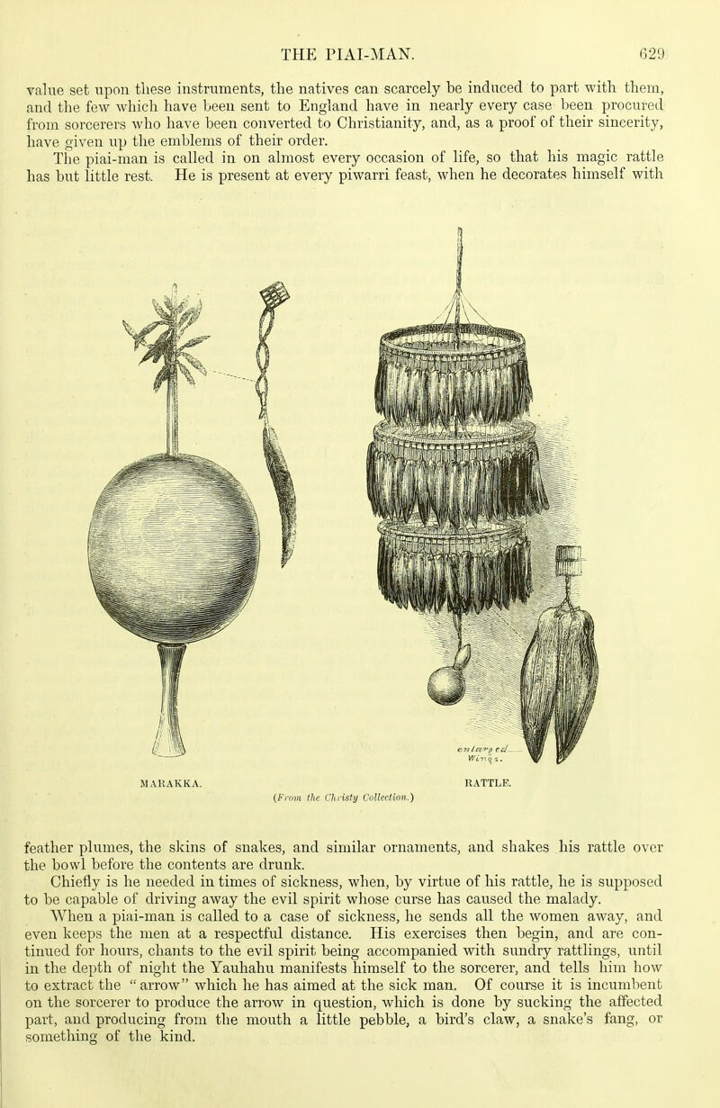 value set upon tliese instruments, the natives can scarcely be induced to part with them, and the few which have been sent to England have in nearly every case been procured from sorcerers who have been converted to Christianity, and, as a proof of their sincerity, have given up the emblems of their order. The piai-man is called in on almost every occasion of life, so that his magic rattle has but little rest. He is present at every piwarri feast, when he decorates himself with MAllAKKA. RATTLE. {From the Christy Collection.) feather plumes, the skins of snakes, and similar ornaments, and shakes his rattle over the bowl before the contents are drunk. Chiefly is he needed in times of sickness, when, by virtue of his rattle, he is supposed to be capable of driving away the evil spirit whose curse has caused the malady. When a piai-man is called to a case of sickness, he sends all the women away, and even keeps the men at a respectful distance. His exercises then begin, and are con- tiimed for hours, chants to the evil spirit being accompanied with sundry rattlings, until in the depth of night the Yauhahu manifests himself to the sorcerer, and tells him how to extract the  arrow which he has aimed at the sick man. Of course it is incumbent on the sorcerer to produce the arrow in question, which is done by sucking the affected part, and producing from the mouth a little pebble, a bird's claw, a snake's fang, or something of the kind.