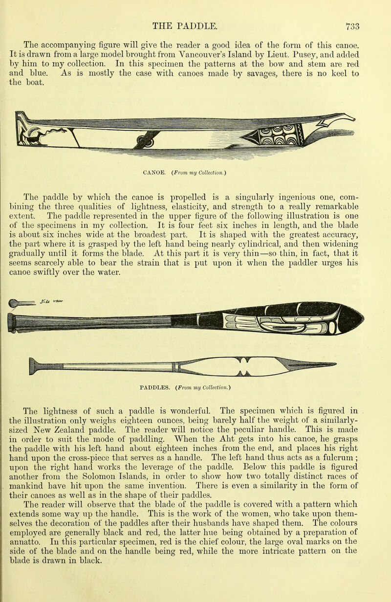 The accompanying figure will give the reader a good idea of the form of this canoe. It is drawn from a large model brought from Yancouver's Island by Lieut. Pusey, and added by him to my collection. In this specimen the patterns at the bow and stem are red and blue. As is mostly the case with canoes made by savages, there is no keel to the boat. CANOE. (From my Collection.) The paddle by w^hich the canoe is propelled is a singularly ingenious one, com- bining the three qualities of lightness, elasticity, and strength to a really remarkable extent. The paddle represented in the upper figure of the following illustration is one of the specimens in my collection. It is four feet six inches in length, and the blade is about six inches wide at the broadest part. It is shaped with the greatest accuracy, the part where it is grasped by the left hand being nearly cylindrical, and then widening gradually until it forms the blade. At this part it is very thin—so thin, in fact, that it seems scarcely able to bear the strain that is put upon it when the paddler urges his canoe swiftly over the water. PADDLES. (From my Collection.) The lightness of such a paddle is wonderful. The specimen which is figured in the illustration only weighs eighteen ounces, being barely half the weight of a similarly- sized New Zealand paddle. The reader will notice the peculiar handle. This is made in order to suit the mode of paddling. When the Aht gets into his canoe, he grasps the paddle with his left hand about eighteen inches from the end, and places his right hand upon the cross-piece that serves as a handle. The left hand thus acts as a fulcrum; upon the right hand works the leverage of the paddle. Below this paddle is figured another from the Solomon Islands, in order to show how two totally distinct races of mankind have hit upon the same invention. There is even a similarity in the form of their canoes as well as in the shape of their paddles. The reader will observe that the blade of the paddle is covered with a pattern which extends some way up the handle. This is the work of the women, who take upon them- selves the decoration of the paddles after their husbands have shaped them. The colours employed are generally black and red, the latter hue being obtained by a preparation of annatto. In this particular specimen, red is the chief colour, the large oval marks on the side of the blade and on the handle being red, while the more intricate pattern on the blade is drawn in black.