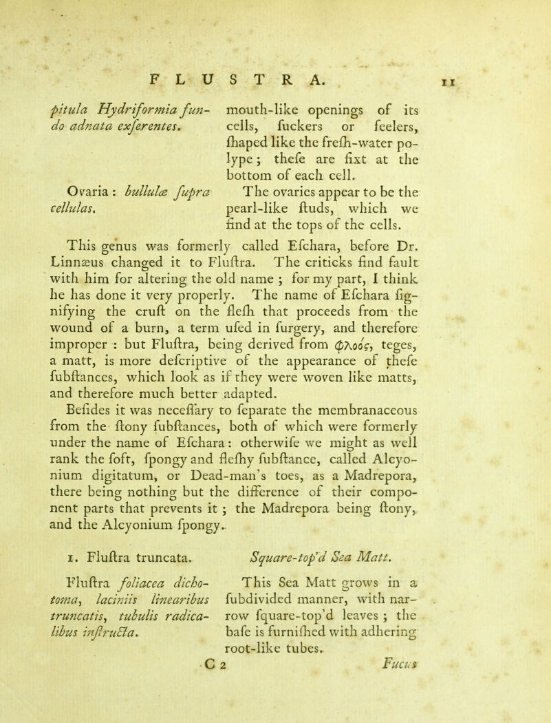 pitula Hydriformia fun- do adnata exferentes. Ovaria : bullulcs fupra cellulas. mouth-like openings of its cells, fuckers or feelers, fhaped like the frefh-vvater po- lype ; thefe are fixt at the bottom of each cell. The ovaries appear to be the pearl-like ftuds, which we find at the tops of the cells. This genus was formerly called Efchara, before Dr. Linnsus changed it to Fluftra. The criticks find fault with him for altering the old name ; for my part, 1 think he has done it very properly. The name of Efchara fig- nifying the cruft on the flefh that proceeds from the wound of a burn, a term ufed in furgery, and therefore improper : but Fluftra, being derived from 07\odg, teges, a matt, is more defcriptive of the appearance of thefe fubftances, which look as if they were woven like matts, and therefore much better adapted. Befides it was neceflkry to feparate the membranaceous from the ilony fubftances, both of which were formerly under the name of Efchara: otherwife we might as well rank the foft, fpongy and flefiiy fubftance, called Alcyo- nium digitatum, or Dead-man's toes, as a Madrepora, there being; nothing; but the difference of their compo- nent parts that prevents it ; the Madrepora being ftony, and the Alcyonium fpongy.. I. Fluftra truncata. Fiuftra foUacea dicho- toma^ laciniis Unearibus truncatis, tuhulis radica- lib us mJlrtiSia. Square-top'd Sea Matt. This Sea Matt grows in a fubdivided manner, with nar- row fquare-top'd leaves ; the bafe is furnillied with adhering root-like tubes. C 2 FuctiS'