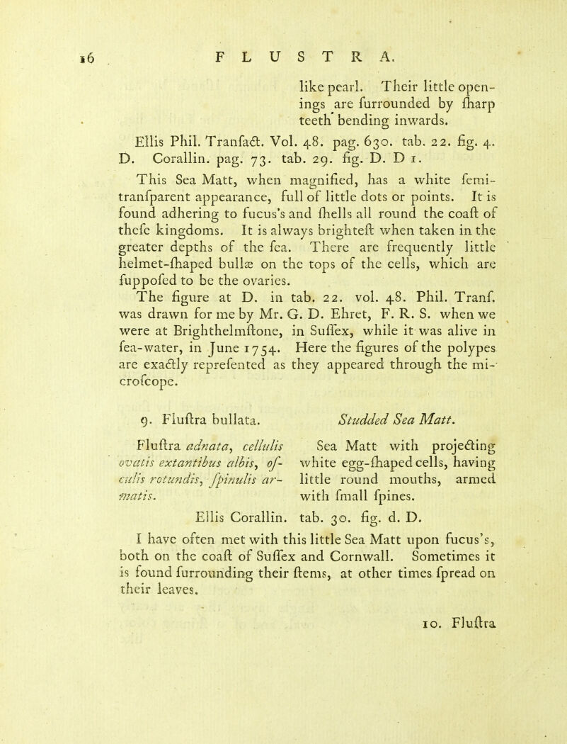 like pearl. Their little open- ings are furrounded by fliarp teeth bending inwards. Ellis Phil. Tranfad. Vol. 48. pag. 630. tab. 22. fig. 4. D. Corallin. pag. 73. tab. 29. fig. D. D i. This Sea Matt, when magnified, has a white femi- tranfparent appearance, full of little dots or points. It is found adhering to fucus's and fhells all round the coaft of thefe kingdoms. It is always brighteft when taken in the greater depths of the fea. There are frequently little helmet-fhaped bulls on the tops of the cells, which are fuppofed to be the ovaries. The figure at D. in tab. 22. vol. 48. Phil. Tranf. was drawn for me by Mr. G. D. Ehret, F. R. S. when we were at Brighthelmftone, in SufTex, while it was alive in fea-water, in June 1754. Here the figures of the polypes are exactly reprefented as they appeared through the mi-' crofcope. 9. Fiuflra bullata. Studded Sea Matt. Fluftra adnata^ celhdis Sea Matt with projecting ovatis extantibus cdbis^ of- white egg-ihaped cells, having culis rQtu?idts^ fpinulis ar- little round mouths, armed matis. with fmall fpines. Ellis Corallin. tab. 30. fig. d. D. I have often met with this little Sea Matt upon fucus's, both on the coaft of Suffcx and Cornwall. Sometimes it is found furrounding their ftems, at other times fpread on their leaves. 10. Fluftra