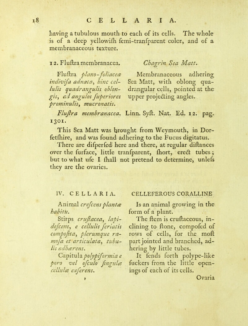 having a tubuious mouth to each of its cells. The whole is of a deep yellowifh femi-tranfparent color, and of a; membranaceous texture. 12. Fiuilramembranacea. Chagrin Sea Matt.- Membranaceous adhering Sea Matt, with oblong qua- drangular ceils, pointed at the upper projeding angles. Fluftra piano-fc'liacea indivifa ad?jata^ hinc cel- lulis quad?'a7igulls. oblon- gis^ ad angulos fuperiores prominulis^ mucronatis, Flujlra meinbranacea. Linn. Syil. Nat. Ed. 12. pag, 1301. This Sea Matt was brought, from Weymouth, in Dor- fetfhire, and was found adhering to the Fucus digitatus. There are difperfed here and there, at regular diftances over the furface, little tranfparent, fhort, eredl tubes; but to what ufe I fhall not pretend to determine, unlefs they are the ovaries. IV. C E L L A R I A. Animal crefcensplantds habitu. Stirps crufiacea^ lapi- defcensy e cellulis feriatis compojita^ plerumque ra- mofa et articulata^ tubu- lis adhcerejis. QimtxAd. polypiformia e poro vel ofculo fingtdcB cclhdiS exferens. CELLEFEROUS CORALLINE Is an animal growing in the. form of a plant. The ftem is cruftaceous, in- clining to ftone, compofed of rows of cells, for the moft part jointed and branched, ad- hering by little tubes. It fends forth polype-like fuckers from the little open- ings of each of its cells. Ovaria