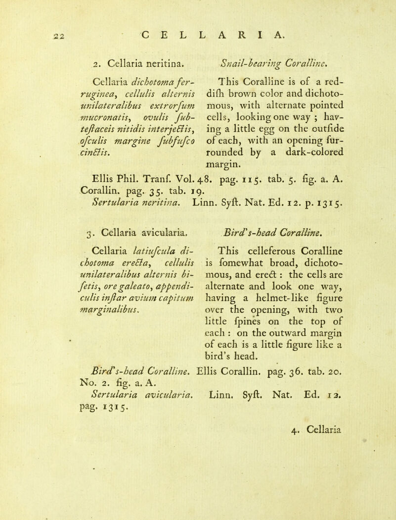 Sjiail-bearing CorallifiC, This Coralline is of a red- difli brown color and dichoto- mous, with alternate pointed cells, looking one way ; hav- ing a little egg on the outflde of each, with an opening fur- rounded by a dark-colored margin. Ellis Phil. Tranf. Vol.48, pag. 115. tab. 5. fig. a. A. Corallin. pag. 35. tab. 19. Sertularia neritina. Linn. Syft. Nat. Ed. 12. p. 1315. 2. Cellaria neritina. Cellaria dichotoma fer- rugmea^ cellulis alternis Ufiilateralibus extrorfuin miicronatis^ ovulis fub- teftaceis 7titidis mterjeSlis^ of cults margme fubfufco cmSiis. 3. Cellaria avicularia. Cellaria lattufcula di- chotoma ereSia^ cellulis unilateralihus altej^nis bi- fetis^ ore galeato^ appendi- culis inftar avium capitum marginalibus. Bird's-head Coralline, This celleferous Coralline is fomewhat broad, dichoto- mous, and eredt: the cells are alternate and look one way, having a helmet-like figure over the opening, with two little fpines on the top of each : on the outward margin of each is a little figure like a bird's head. Birds-head Coralline, Ellis Corallin. pag. 36. tab. 20. No. 2. fig. a. A. Sertularia avicularia. Linn. Syft. Nat. Ed. 13.