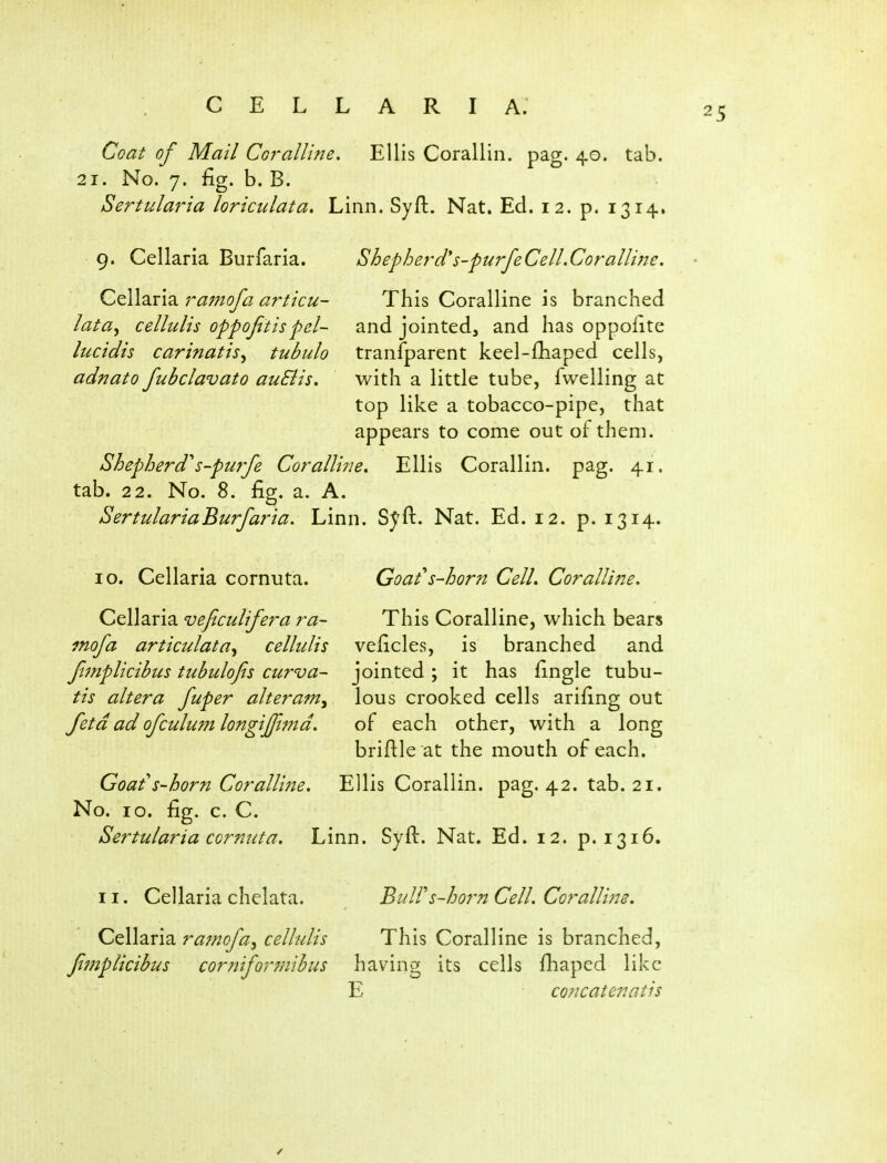 Coat of Mail Coralline, Ellis Corallin. pag. 40. tab. 21. No. 7. fig. b. B. Sertularia loriciilata. Linn. Syft. Nat. Ed. 12. p. 1314. 9. Cellaria Burfaria. Shepherd's-purfeCelLCoralline, Qt\\2iv\2i ra7?tofa articu- This Coralline is branched lata^ cellulis oppojitispel- and jointed, and has oppofite lucidis carinatis^ tubulo transparent keel-fliaped cells, adnato fubclavato au&is. with a little tube, fvvelling at top like a tobacco-pipe, that appears to come out of them. Shepherd^s~purfe Coralline, Ellis Corallin. pag. 41. tab. 22. No. 8. fig. a. A. SertulariaBurfaria. Linn. Syft. Nat. Ed. 12. p. 1314. 10. Cellaria cornuta. Goats-horn Cell, Coralline. Cellaria veficulifera ra~ This Coralline, which bears mofa articulata^ cellulis veficles, is branched and fimplicibus ttibulofis curva- jointed; it has fingle tubu- tis altera fuper alterafn^ lous crooked cells arifing out fetdad ofculum longijfjnd. of each other, with a long briftle at the mouth of each. Goat's-horn Coralline, Ellis Corallin. pag. 42. tab. 21. No. 10. fig. c. C. Sertularia cornuta. Linn. Syfl. Nat. Ed. 12. p. 1316. 11. Cellaria chelata. BulFs-ho7'n Cell. CoralU?2e. Cellaria ra7nofa^ cellulis This Coralline is branched, fimplicibus corniformibus having its cells fliaped like E co?icatenatis