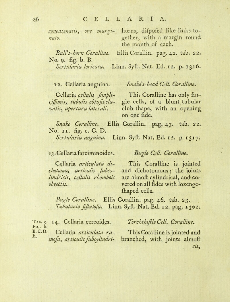 co7teate7iatis^ ore margi- horns, difpofed like links to- nato, gether, with a margin round the mouth of each. Buirs-horn CoralUm. Ellis Corallin. pag. 42. tab. 22. No. 9. fig. b. B. Sertulaf^ia loricata. Linn. Syft. Nat. Ed. 12. p» 1316, 12. Cellaria anguina. Snake s-head Cell, Coralline, Cellaria cellulis Jimpli- This Coralline has only fin- cijfimis^ tnhulis obtufis cla~ gle cells^ of a blunt tubular vatis^ apertura lateralis club-fhape, with an opening on one fide. Snake Coralline, Ellis Corallin. pag. 43. tab. 2 2» No. 11, fig. c. C. D. Sertularia aijguina. Linn. Syft. Nat. Ed. 12. p. 1317. 13.Cellariafarciminoides. Bugle Cell, Coralline, Cellaria articulata di- This Coralline is jointed chotoma^ articulis fuhcy- and dichotomous; the joints lindiHciSy cellulis rhombeis are almoft cylindrical, and co^ obteBis, vered on all fides with lozenge- fhaped cella. Bugle Coralline, Ellis Corallin. pag. 46. tab. 23. Tubularia fftulofa. Linn. Syft. Nat. Ed. 12. pag. 1302;. Tab. 5. 14. Cellaria cereoides* I'orchthifile Cell, Coralline^ Fig. b. B. CD. Cellaria articulata ra- This Coralline is jointed and mofa^ articulisfubcylindri branched, with joints almoft cisy